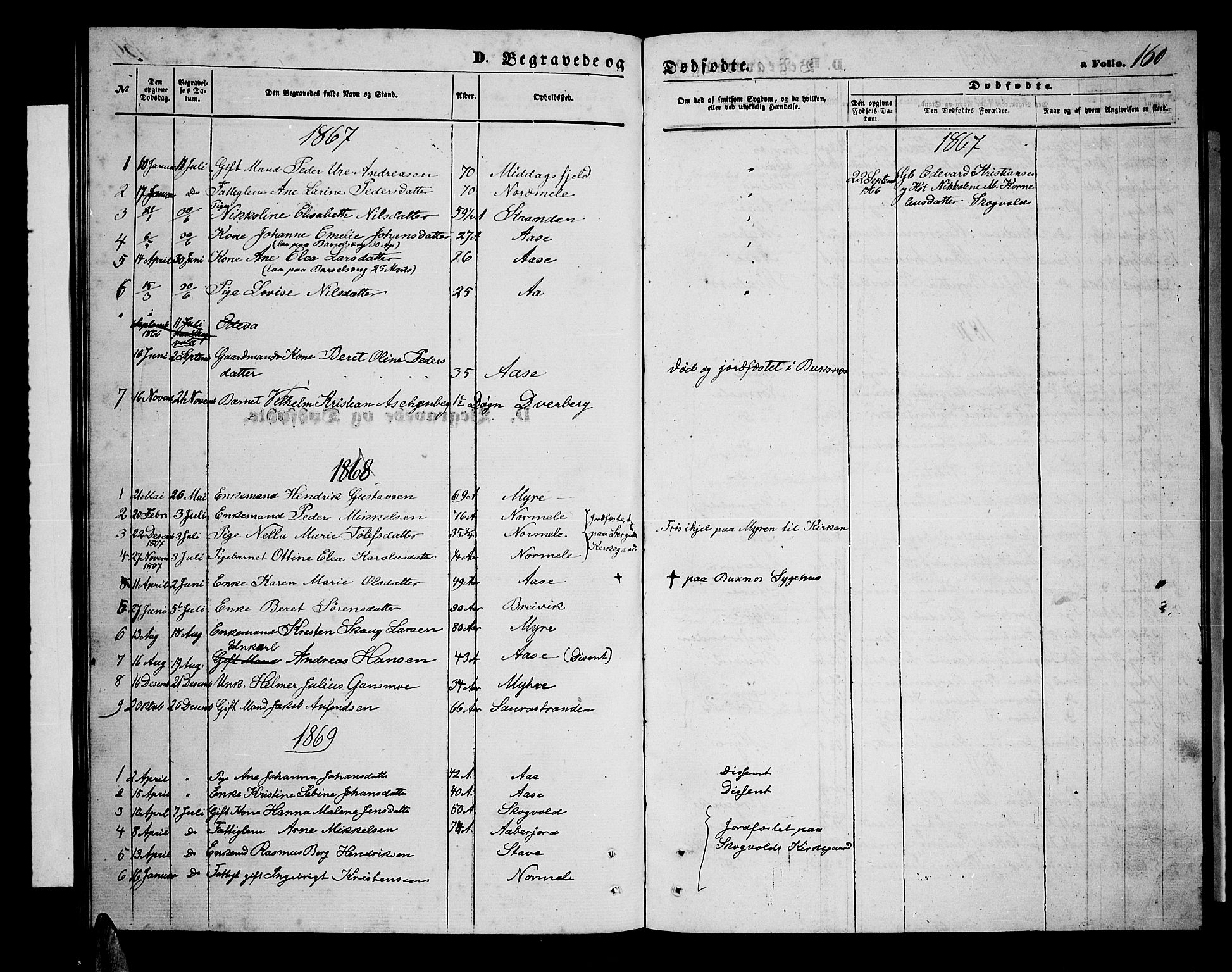 Ministerialprotokoller, klokkerbøker og fødselsregistre - Nordland, AV/SAT-A-1459/897/L1412: Parish register (copy) no. 897C02, 1867-1886, p. 160