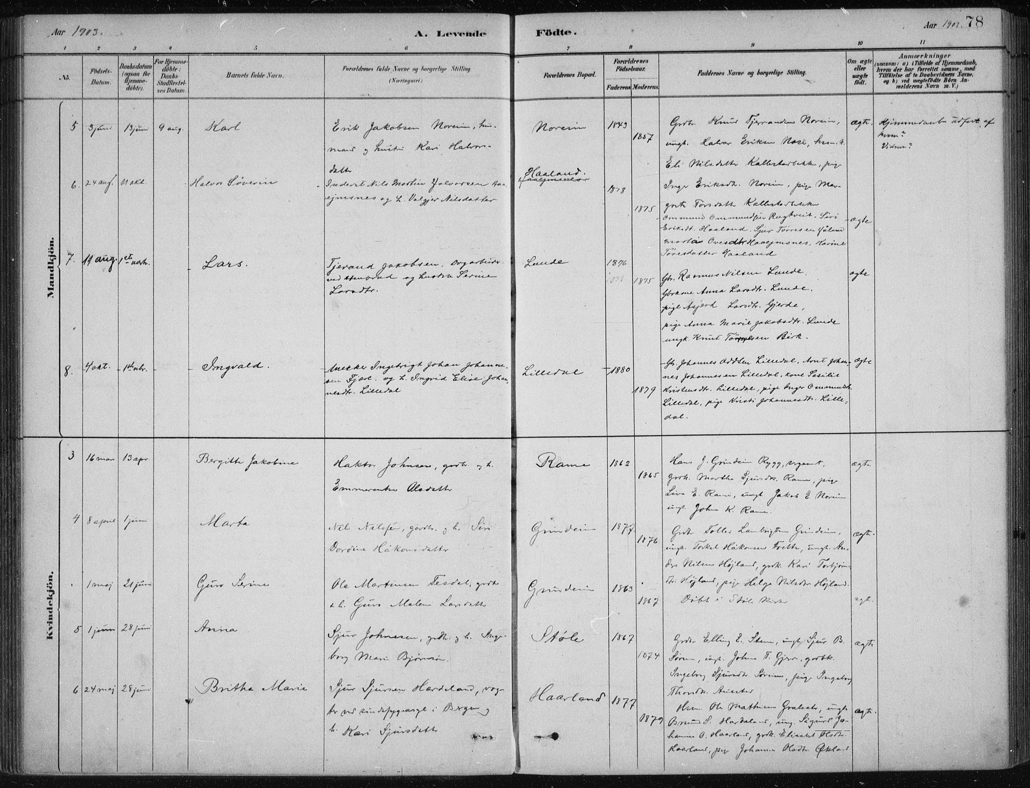 Etne sokneprestembete, AV/SAB-A-75001/H/Haa: Parish register (official) no. D  1, 1879-1919, p. 78