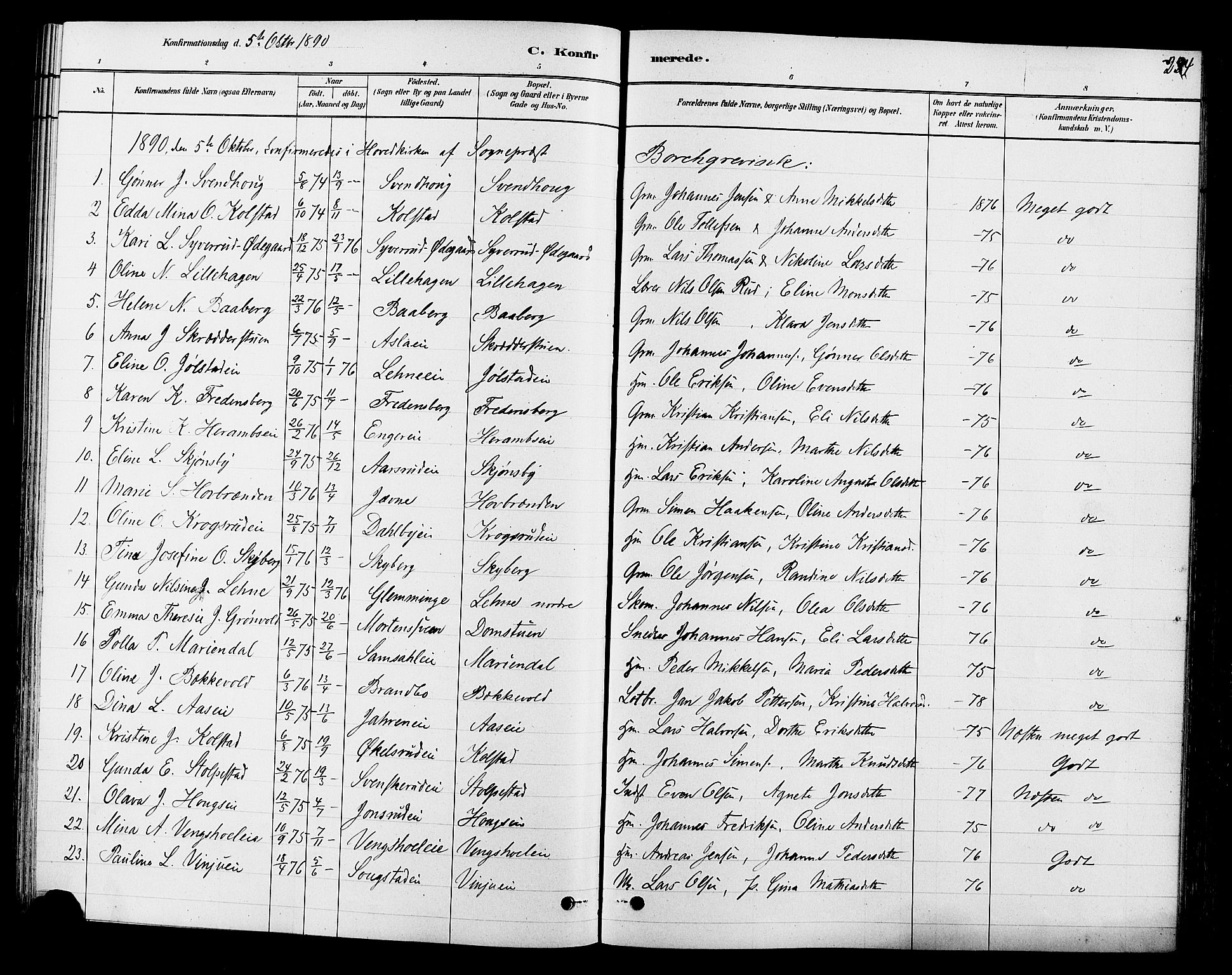 Ringsaker prestekontor, SAH/PREST-014/L/La/L0009: Parish register (copy) no. 9, 1879-1890, p. 224