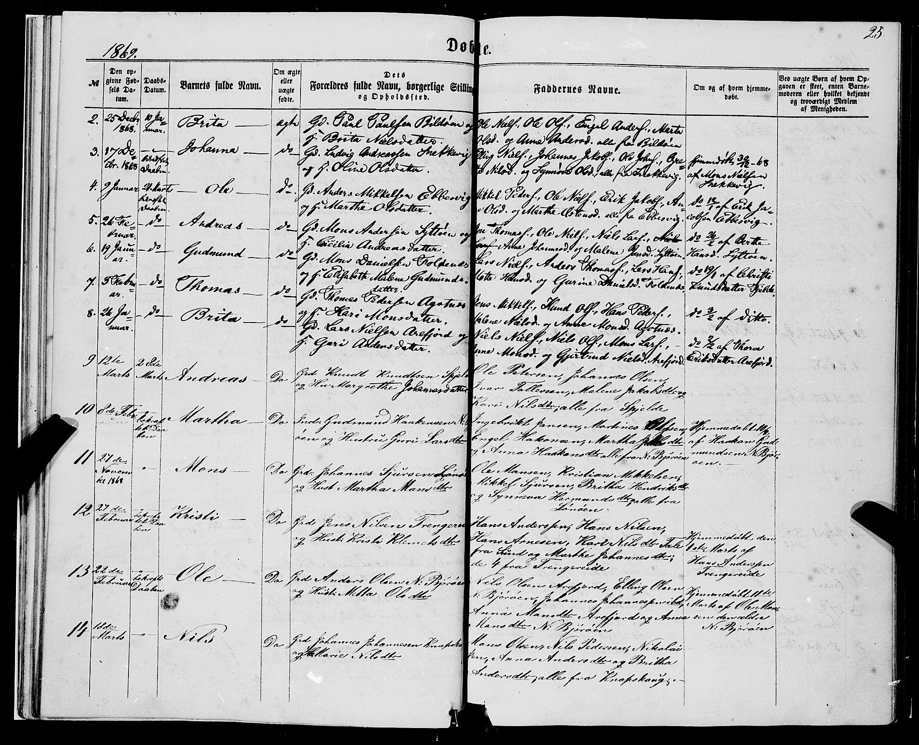 Fjell sokneprestembete, SAB/A-75301/H/Haa: Parish register (official) no. A 3, 1864-1877, p. 25