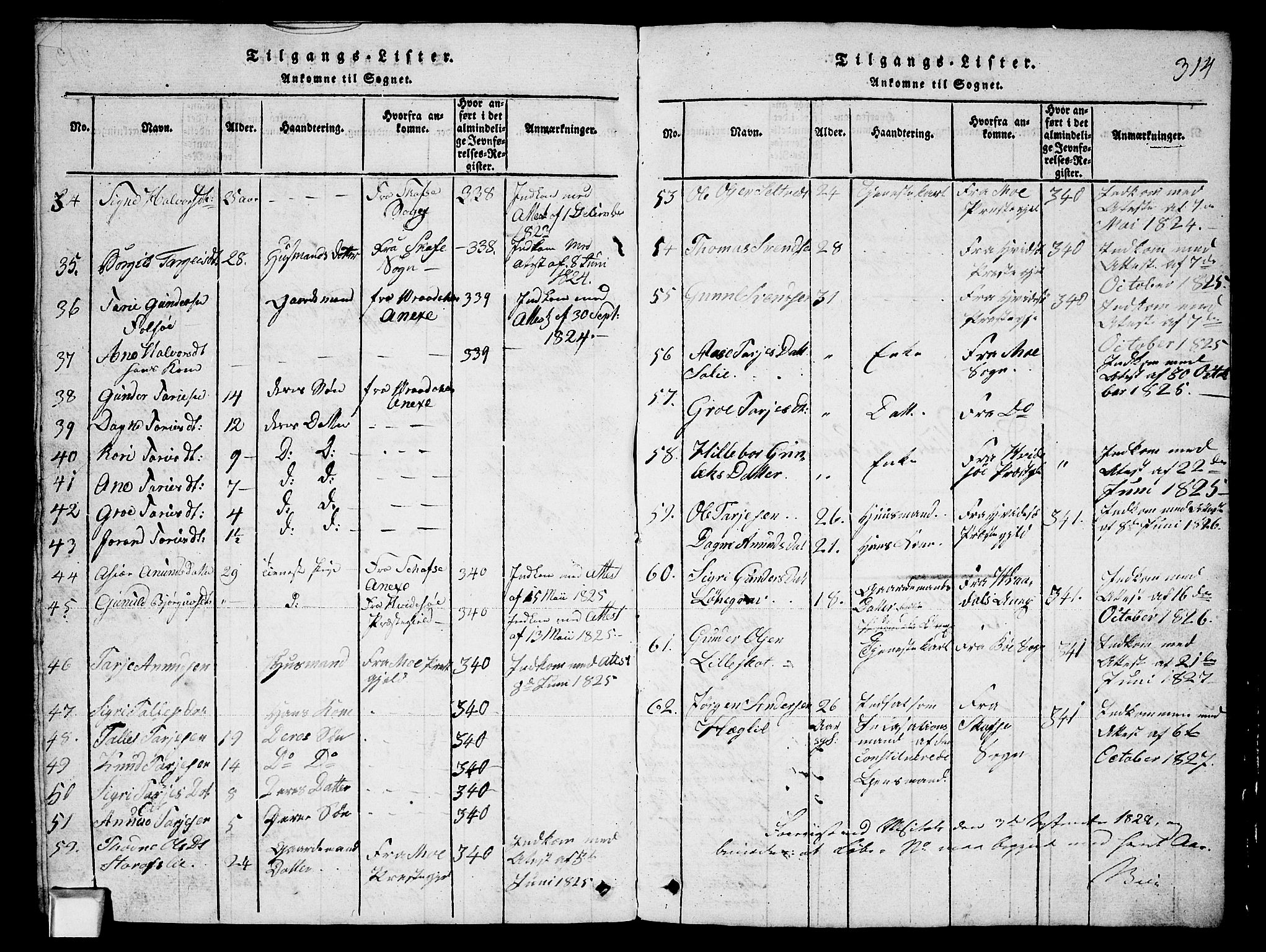 Fyresdal kirkebøker, AV/SAKO-A-263/G/Ga/L0003: Parish register (copy) no. I 3, 1815-1863, p. 314