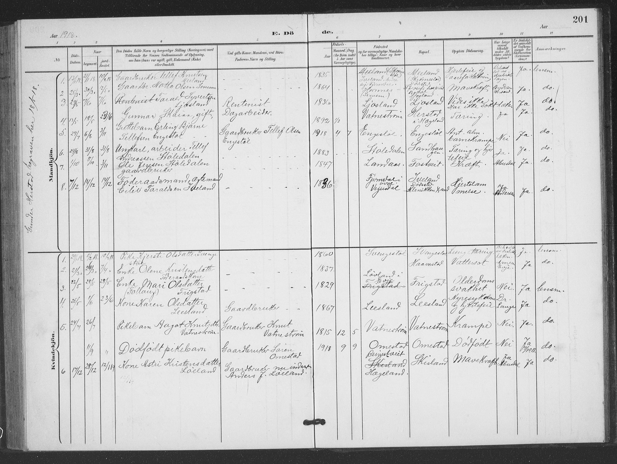 Evje sokneprestkontor, AV/SAK-1111-0008/F/Fb/Fbc/L0005: Parish register (copy) no. B 5, 1901-1935, p. 201