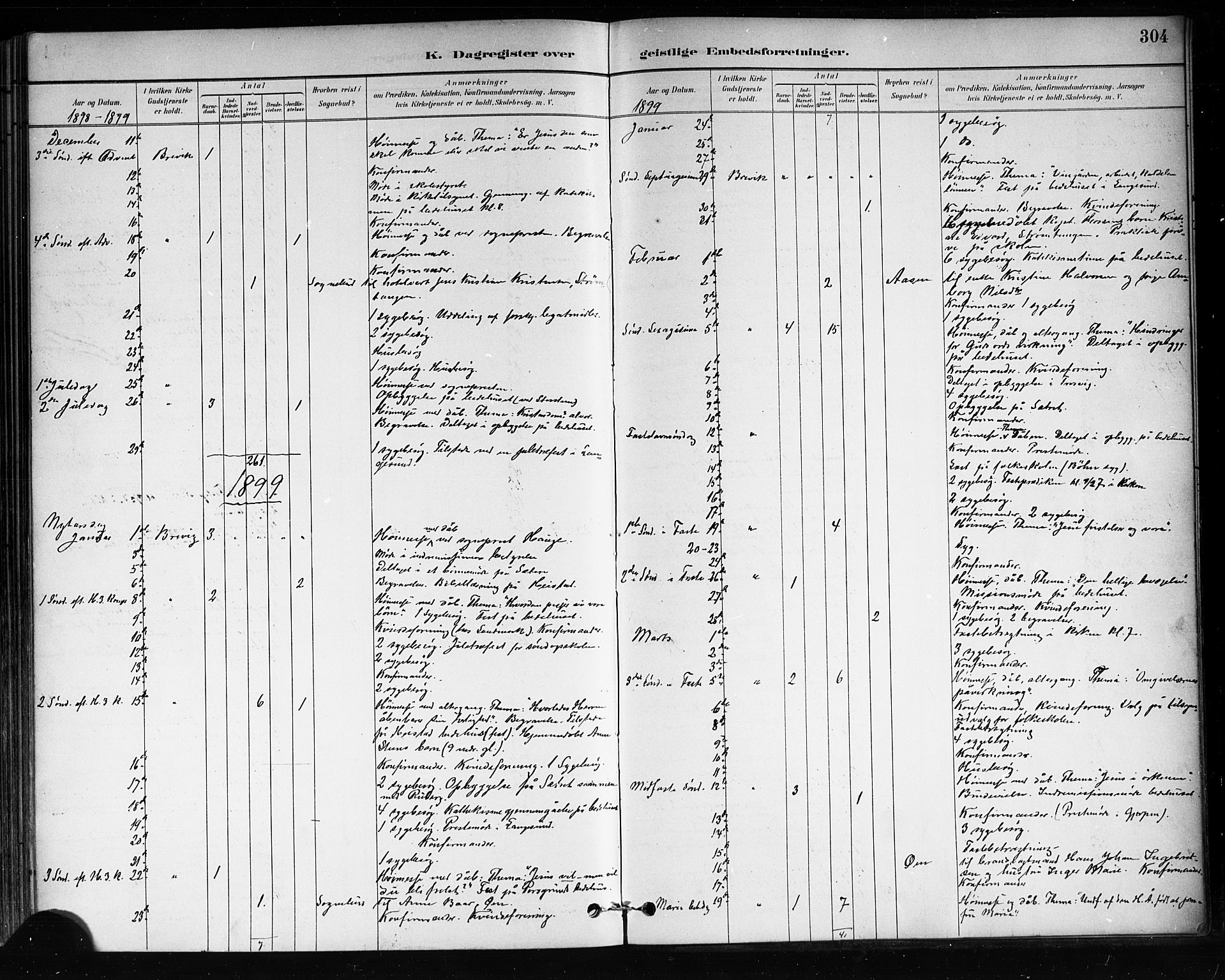 Brevik kirkebøker, SAKO/A-255/F/Fa/L0007: Parish register (official) no. 7, 1882-1900, p. 304