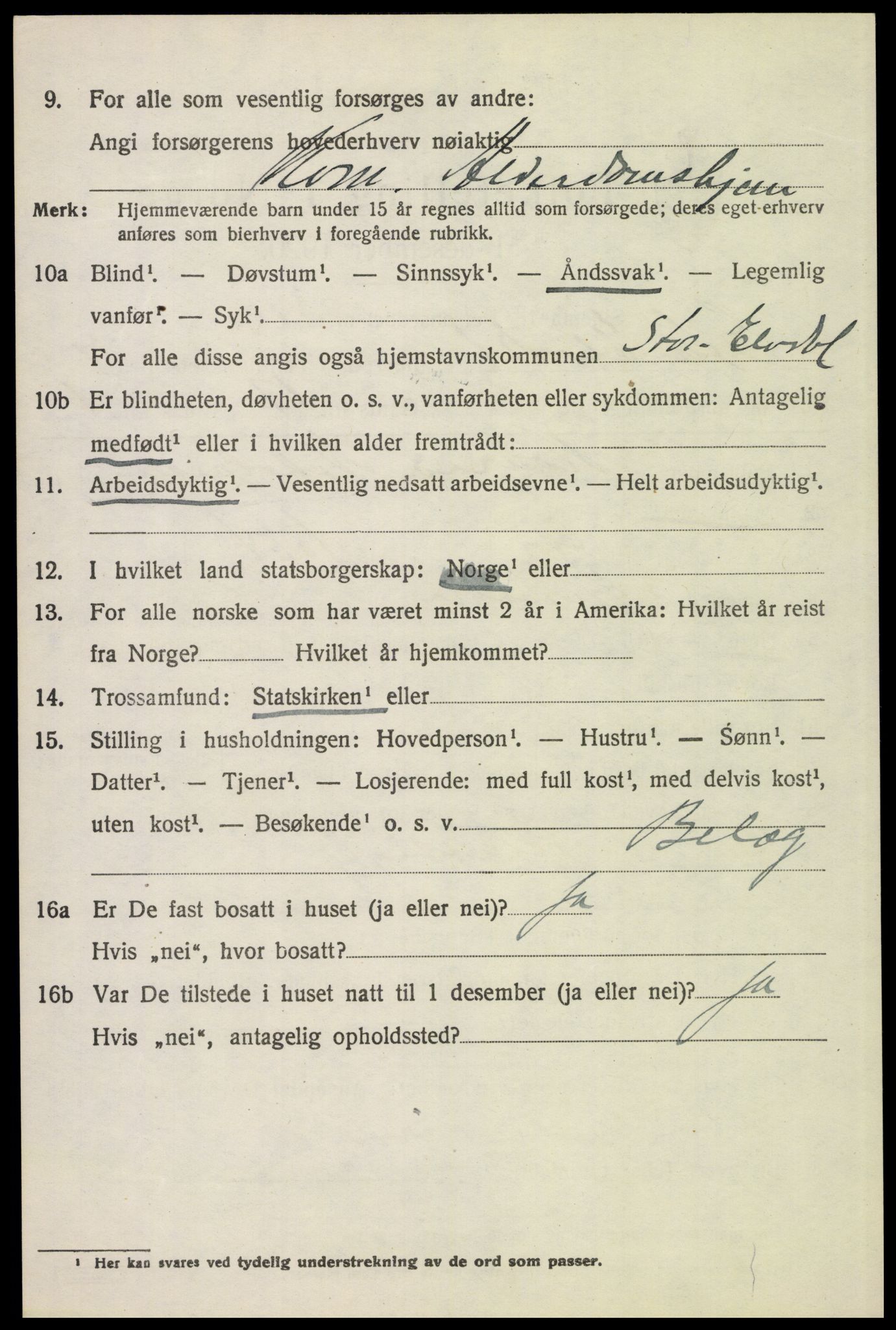 SAH, 1920 census for Stor-Elvdal, 1920, p. 6125