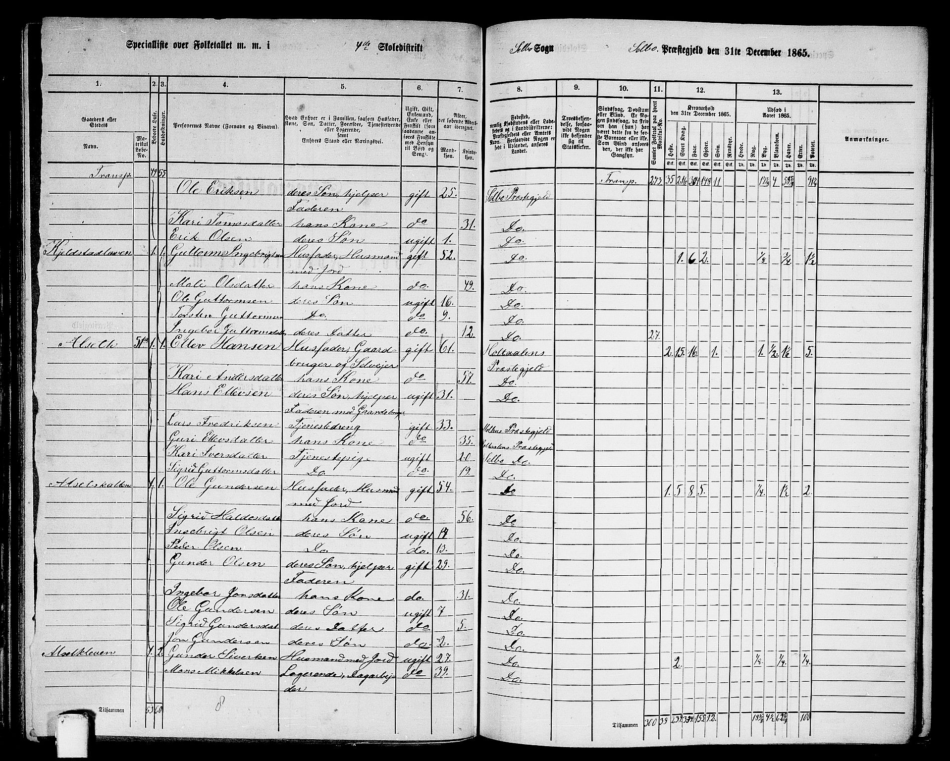 RA, 1865 census for Selbu, 1865, p. 62