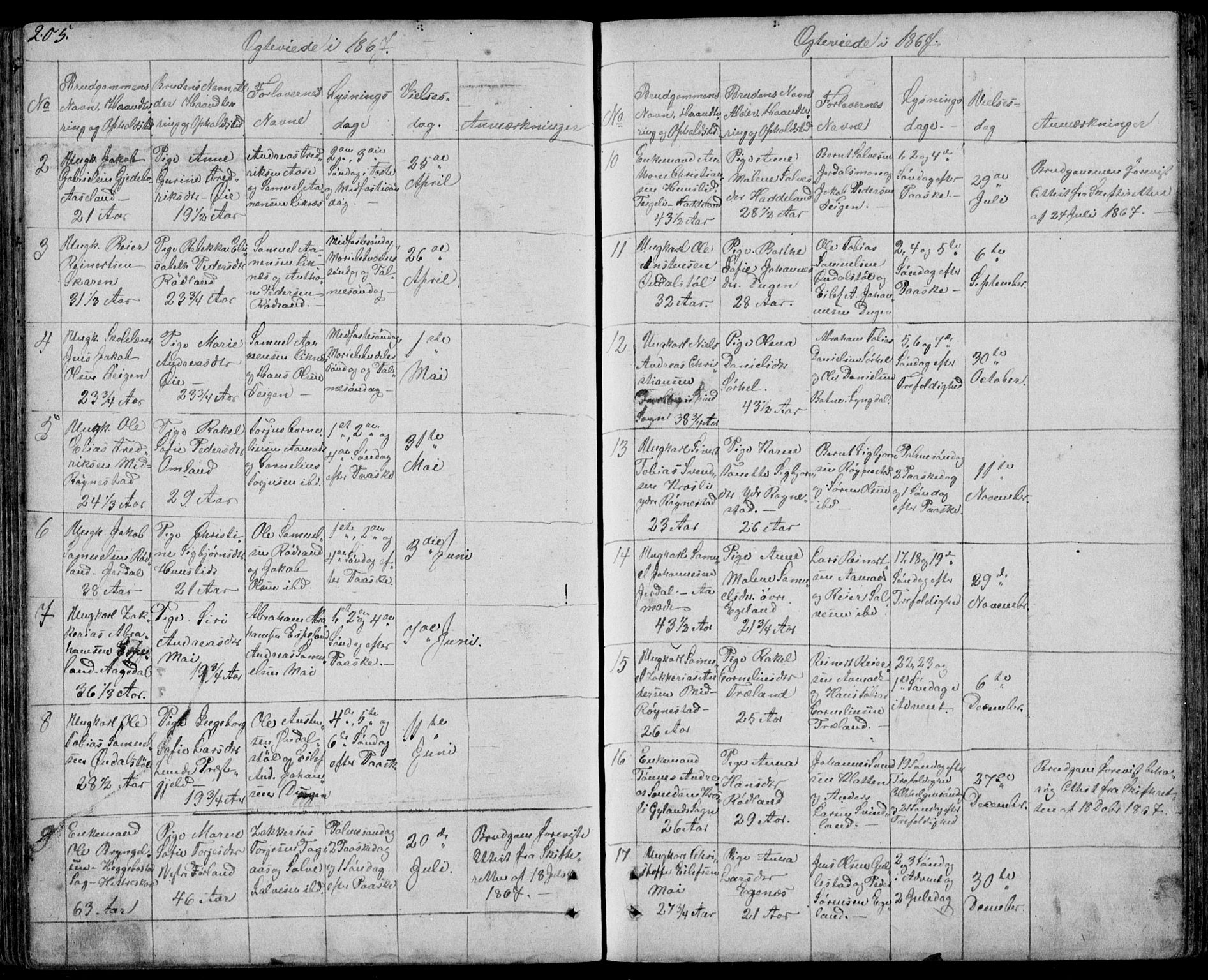 Kvinesdal sokneprestkontor, SAK/1111-0026/F/Fb/Fbb/L0001: Parish register (copy) no. B 1, 1852-1872, p. 205