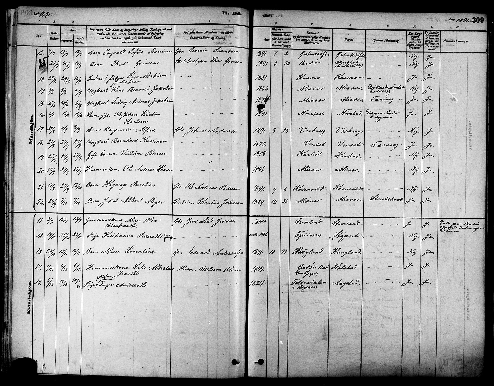 Ministerialprotokoller, klokkerbøker og fødselsregistre - Nordland, AV/SAT-A-1459/852/L0740: Parish register (official) no. 852A10, 1878-1894, p. 309