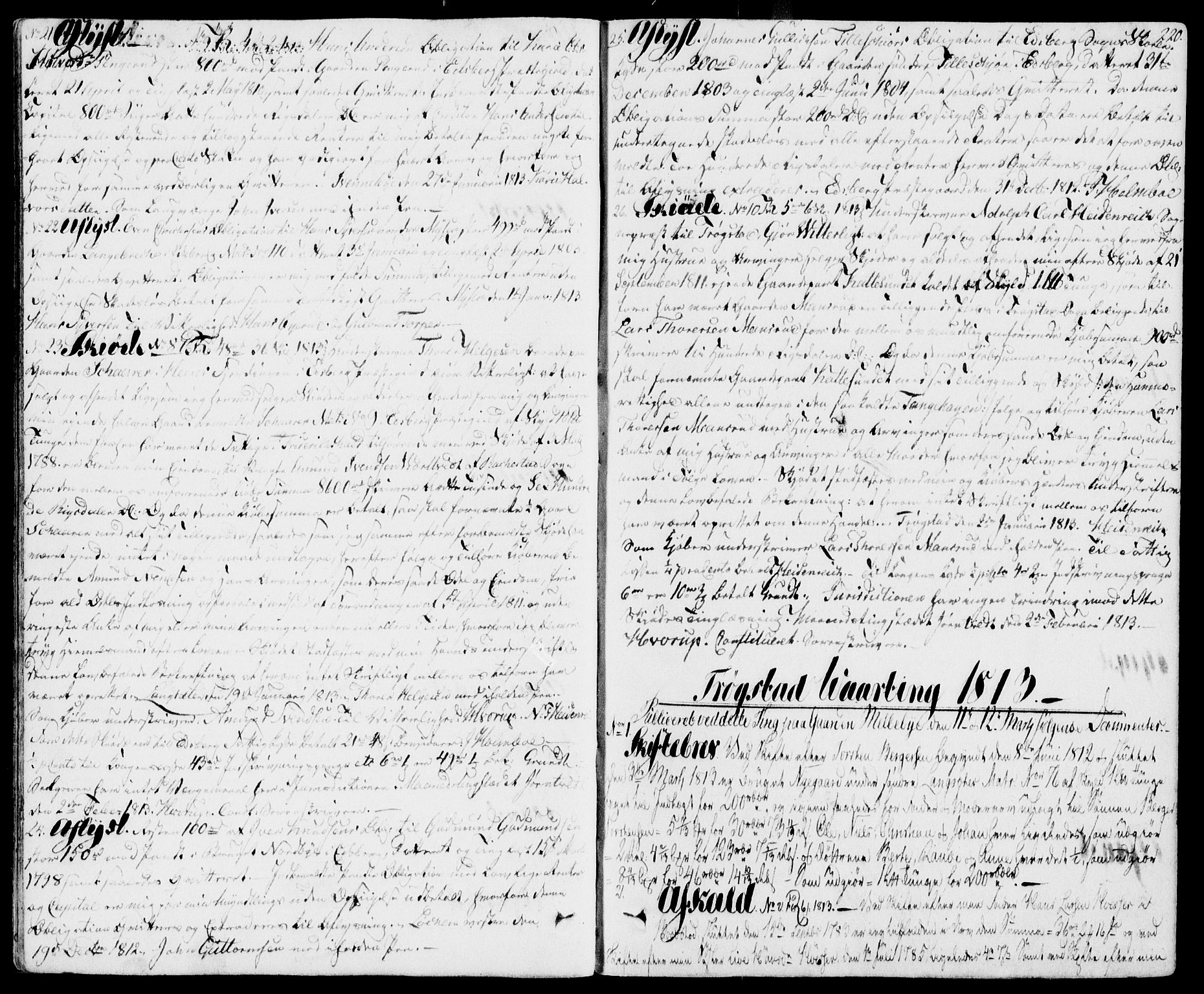 Heggen og Frøland sorenskriveri I, AV/SAO-A-11556/G/Gb/L0008: Mortgage book no. 8, 1807-1823, p. 220