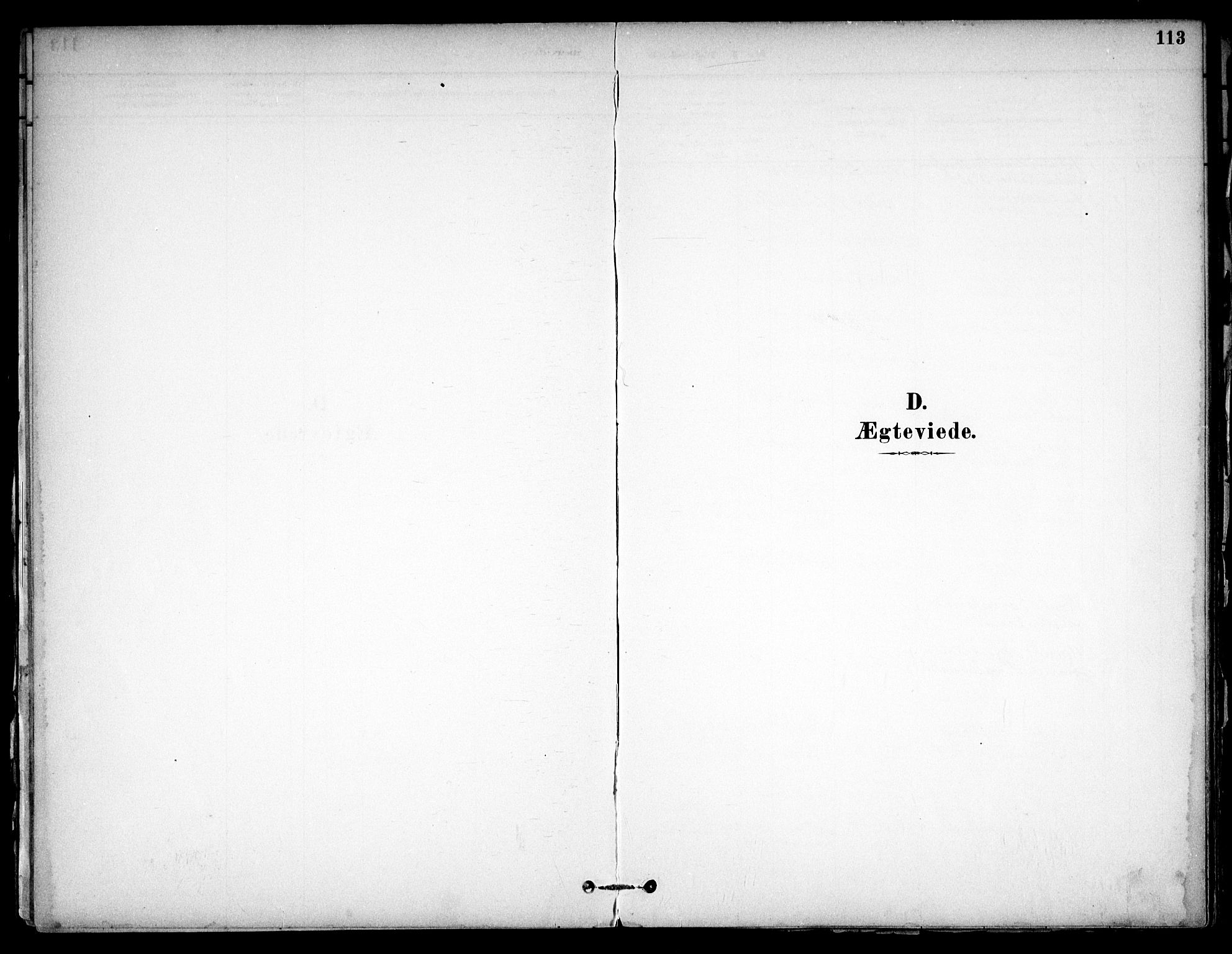 Eidsvoll prestekontor Kirkebøker, SAO/A-10888/F/Fb/L0001: Parish register (official) no. II 1, 1882-1897, p. 113