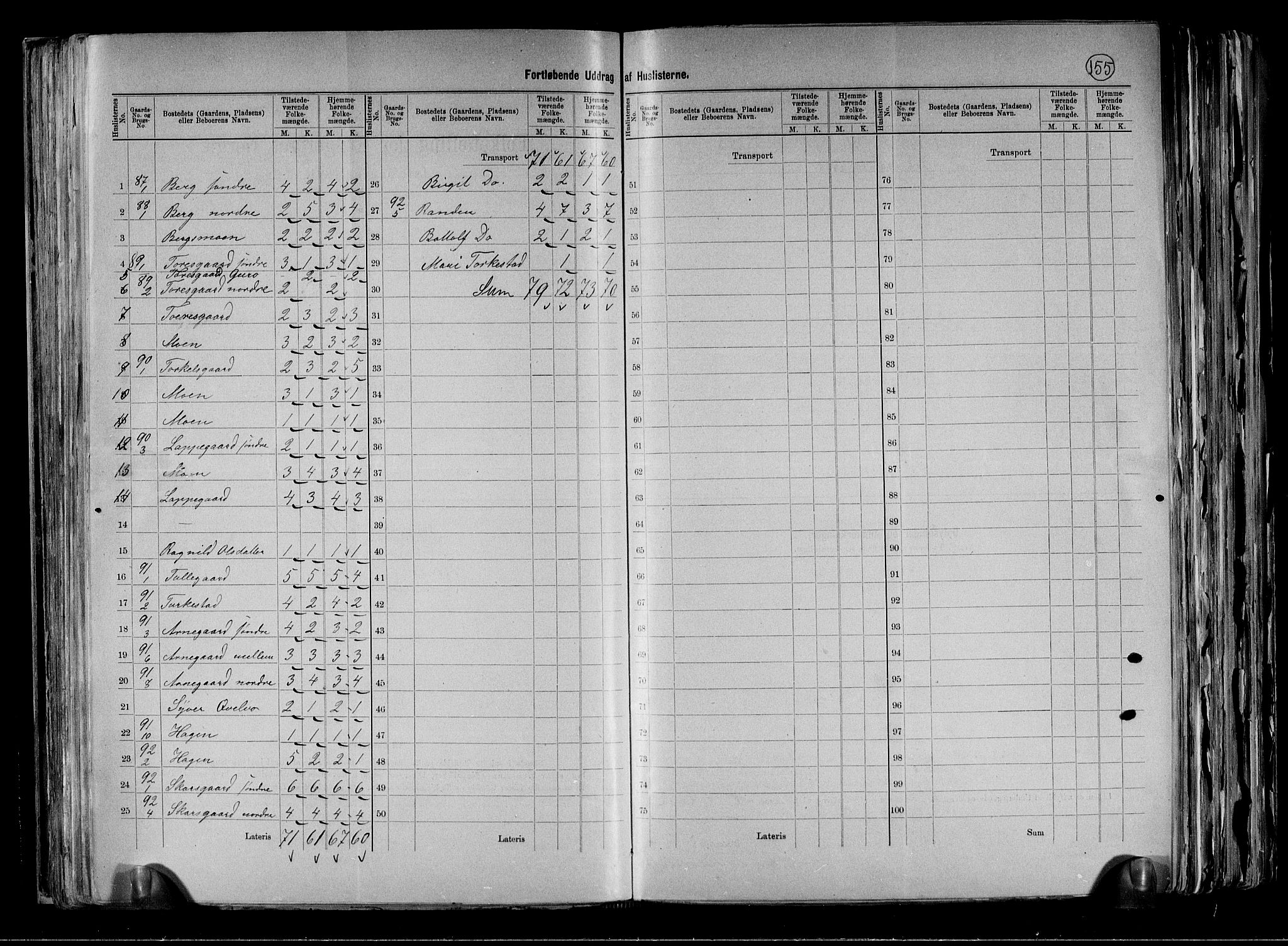RA, 1891 census for 0619 Ål, 1891, p. 25