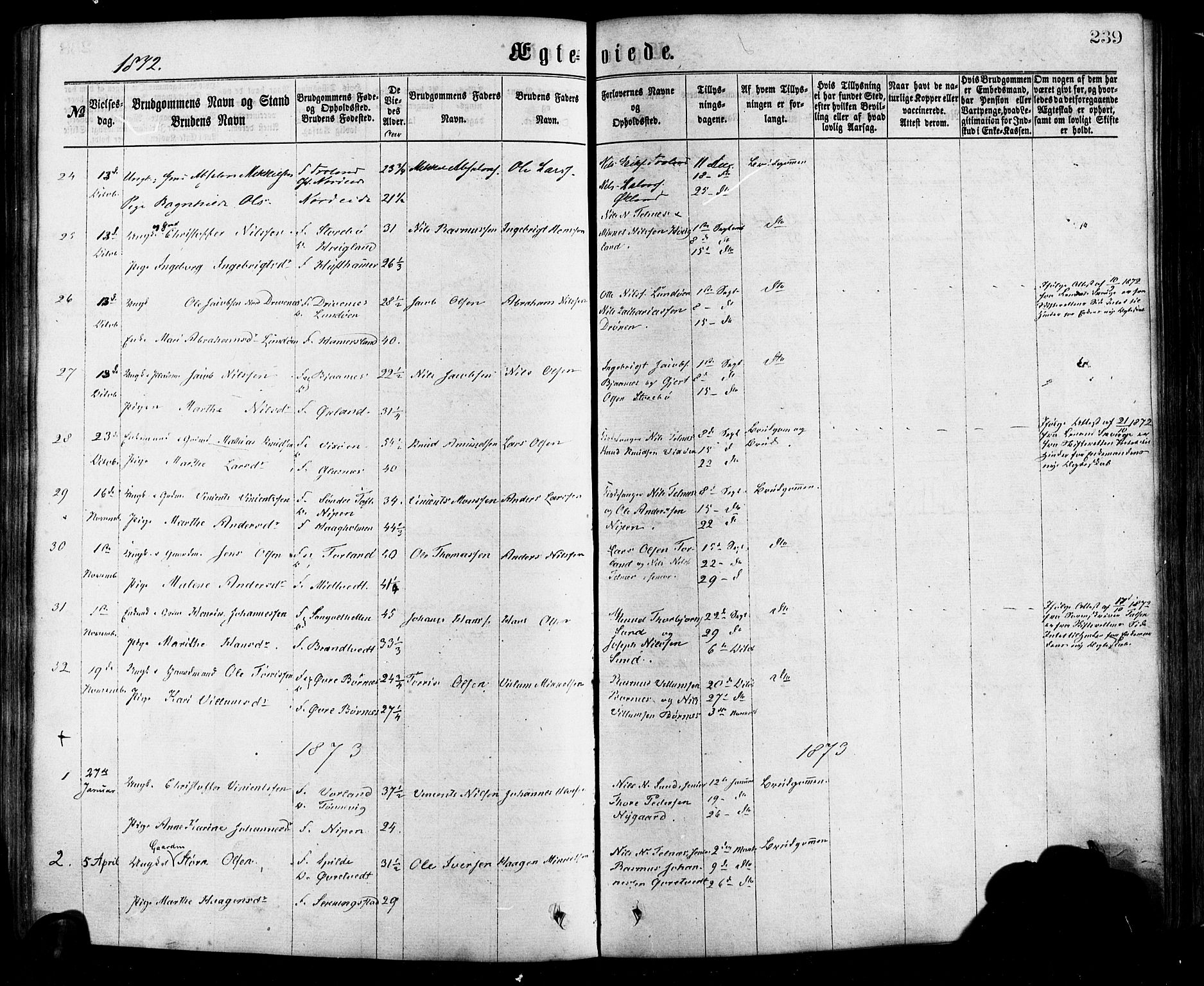 Sund sokneprestembete, SAB/A-99930: Parish register (official) no. A 15, 1867-1881, p. 239