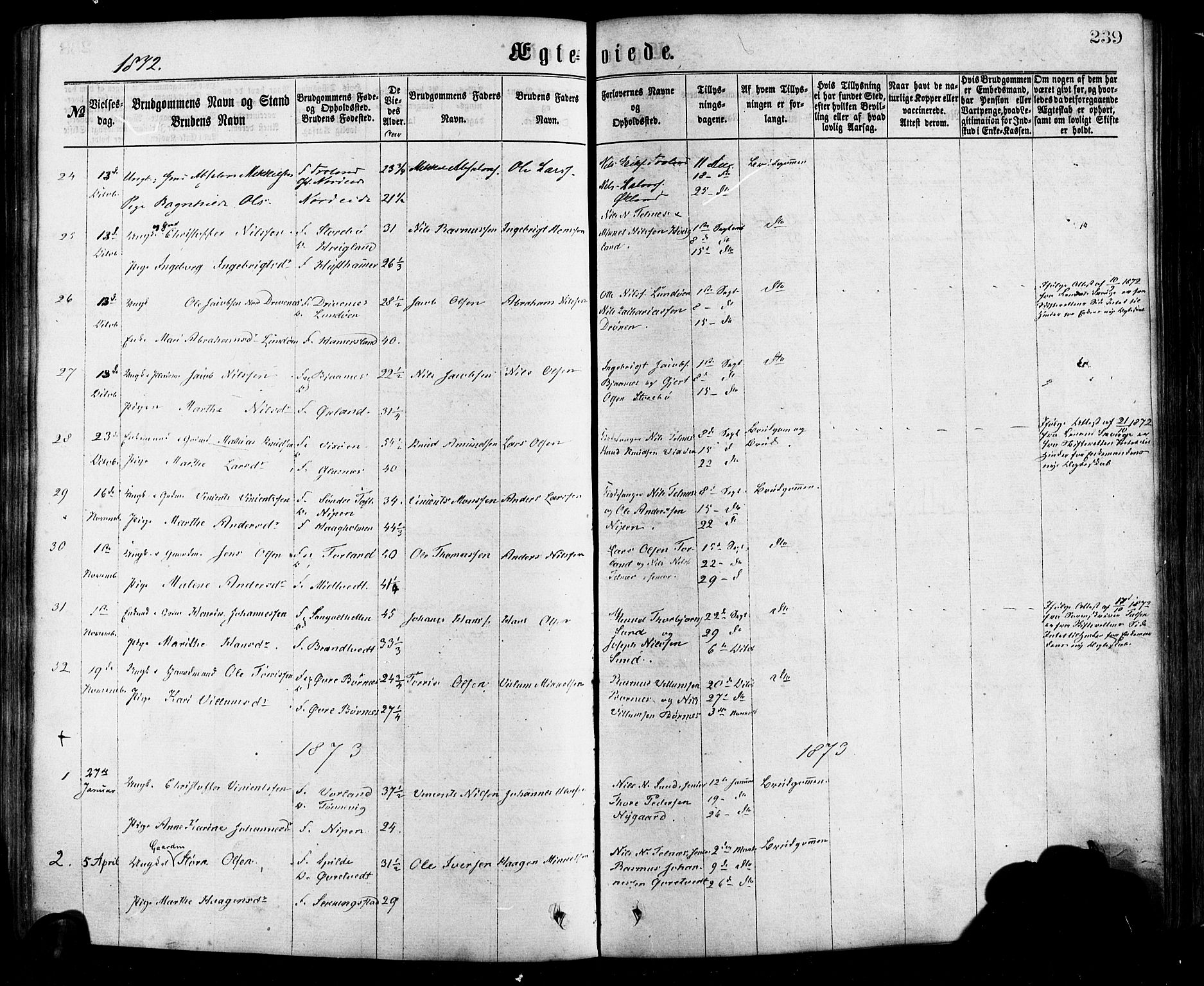 Sund sokneprestembete, AV/SAB-A-99930: Parish register (official) no. A 15, 1867-1881, p. 239