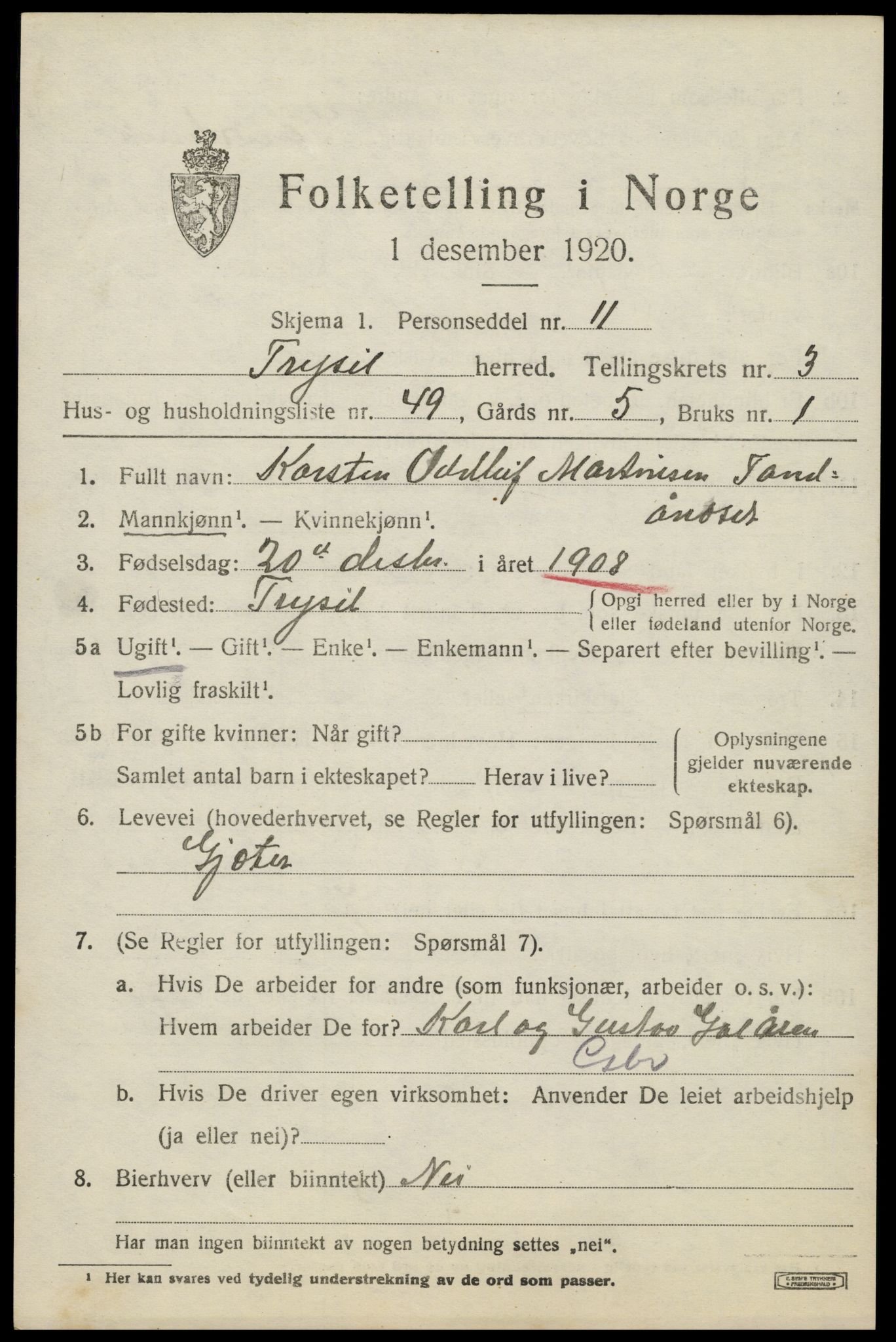SAH, 1920 census for Trysil, 1920, p. 4063