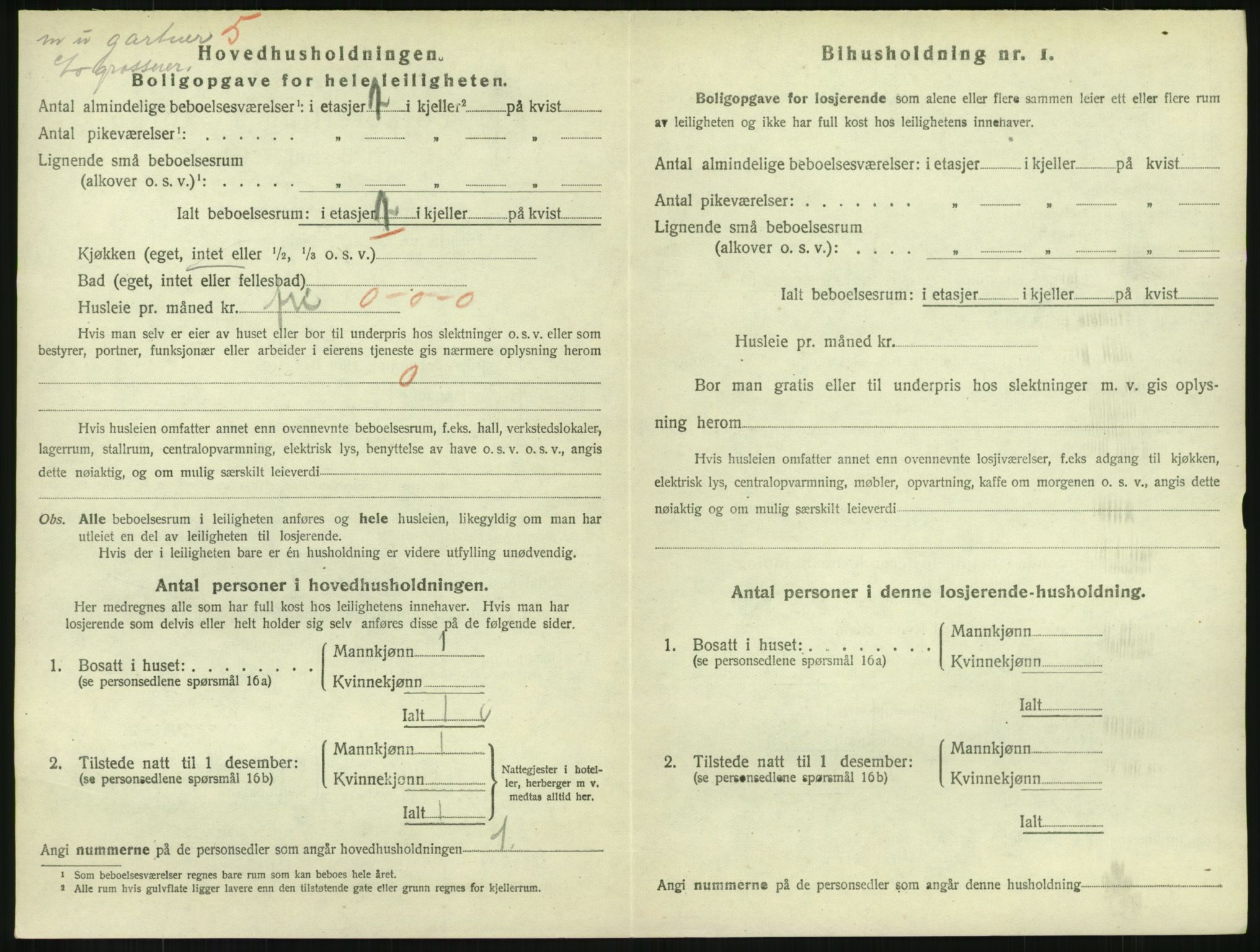 SAKO, 1920 census for Drammen, 1920, p. 8370