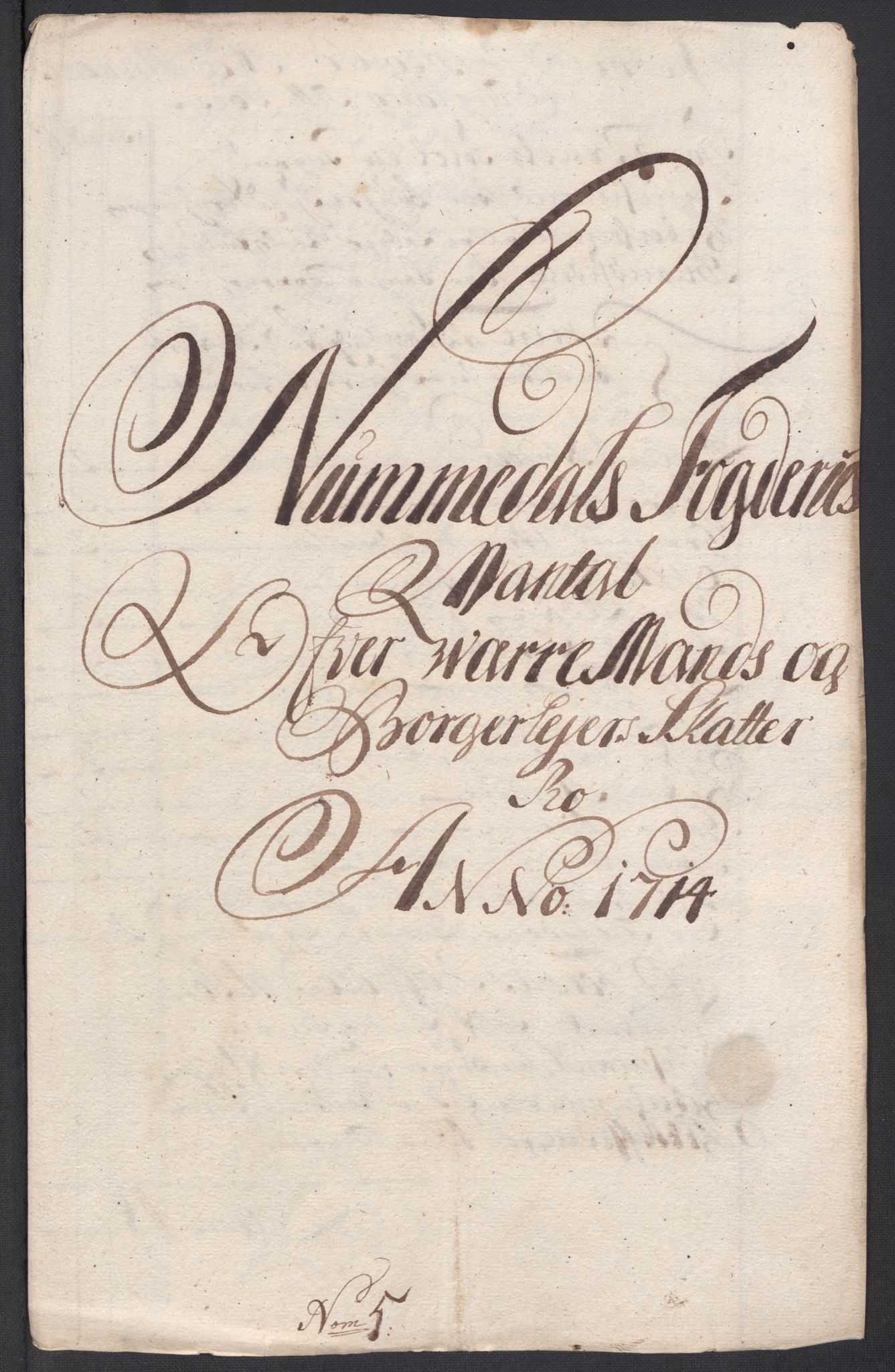 Rentekammeret inntil 1814, Reviderte regnskaper, Fogderegnskap, AV/RA-EA-4092/R64/L4435: Fogderegnskap Namdal, 1714, p. 116