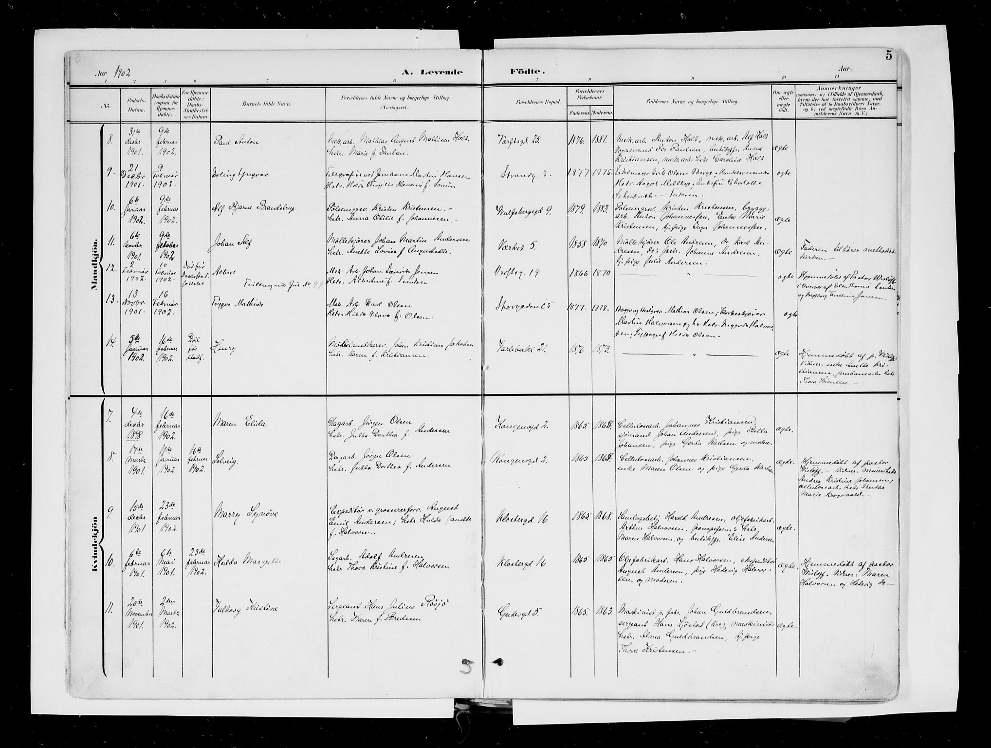 Moss prestekontor Kirkebøker, AV/SAO-A-2003/F/Fb/L0004: Parish register (official) no. II 4, 1902-1912, p. 5