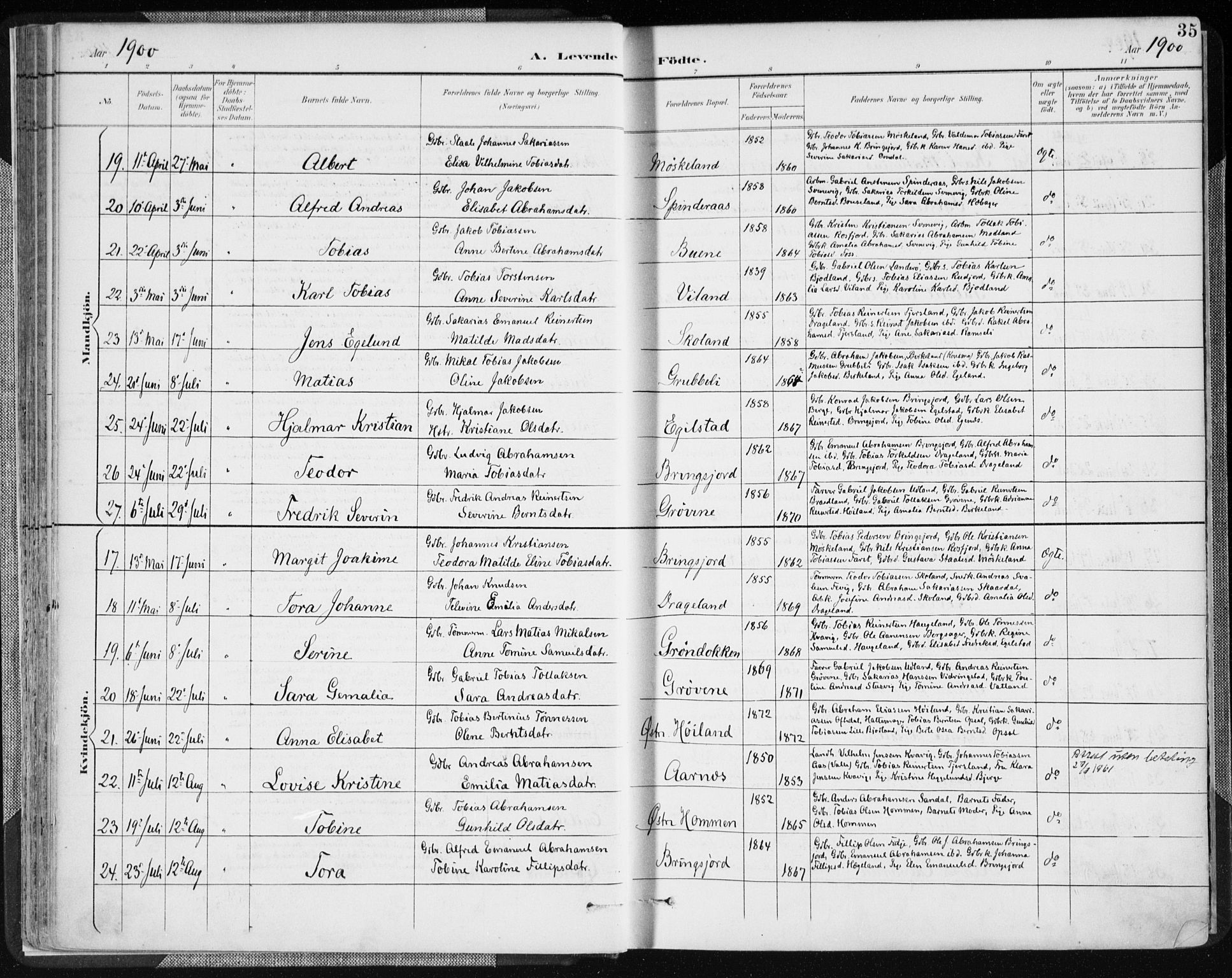 Lyngdal sokneprestkontor, SAK/1111-0029/F/Fa/Fac/L0012: Parish register (official) no. A 12, 1894-1918, p. 35