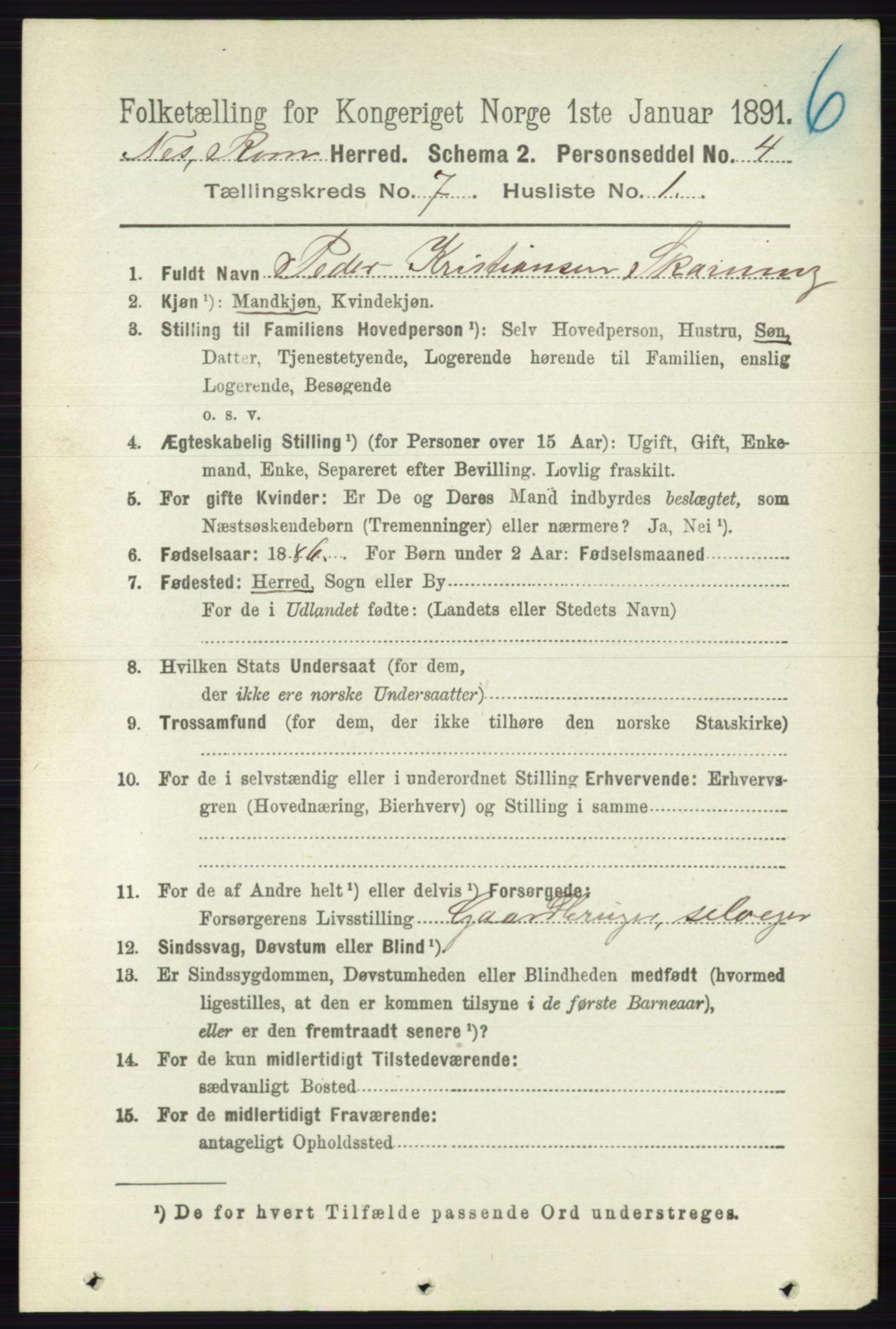 RA, 1891 census for 0236 Nes, 1891, p. 4015