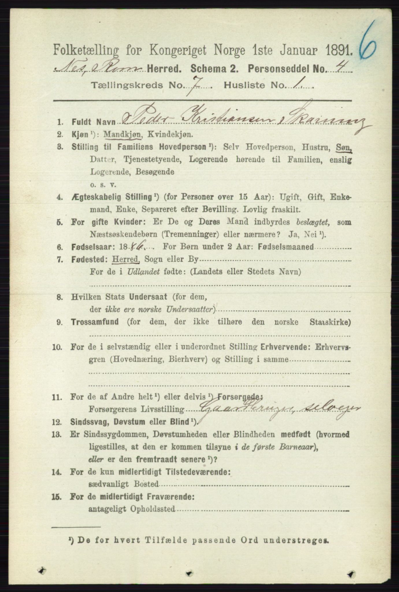 RA, 1891 census for 0236 Nes, 1891, p. 4015