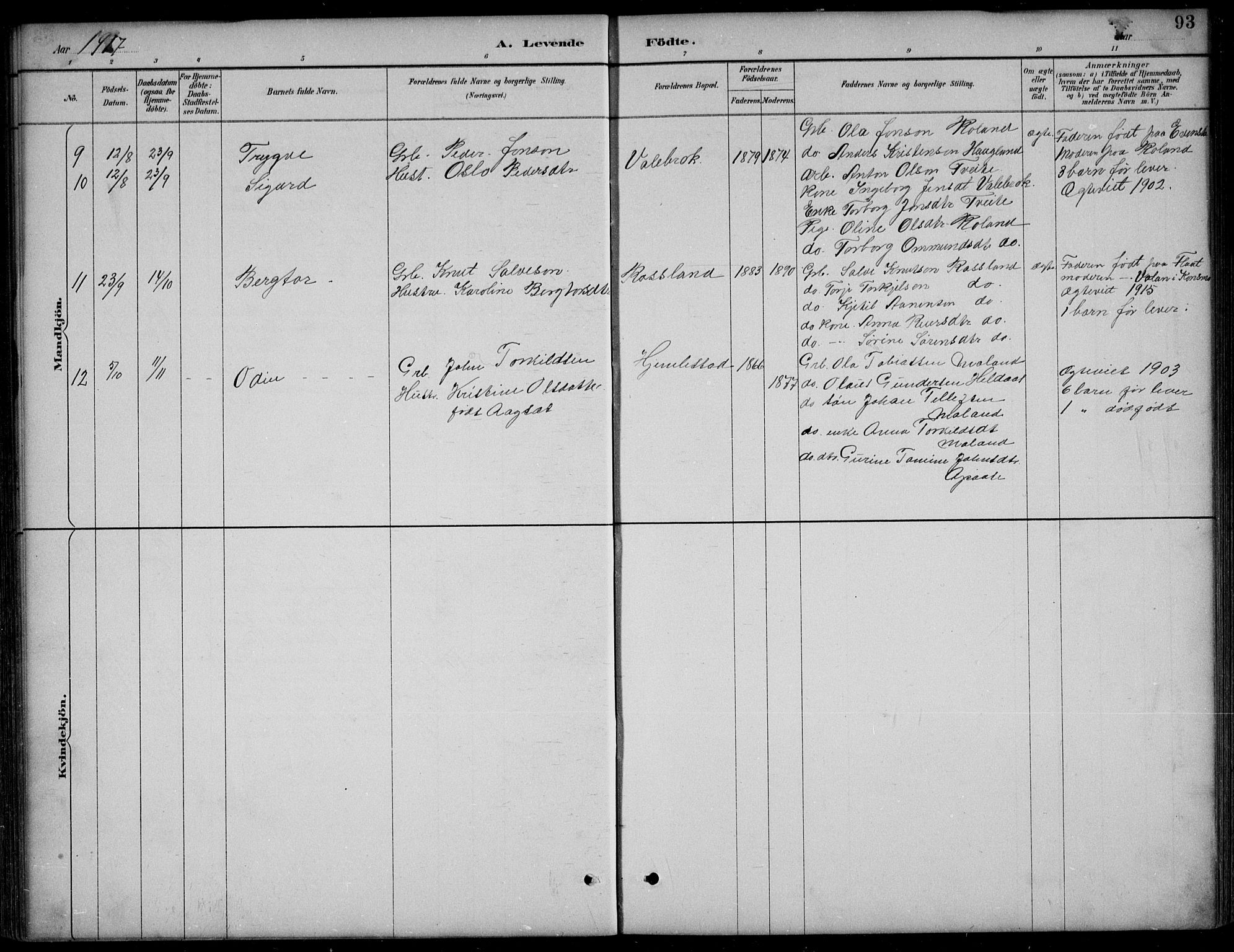 Bjelland sokneprestkontor, AV/SAK-1111-0005/F/Fb/Fba/L0005: Parish register (copy) no. B 5, 1887-1923, p. 93