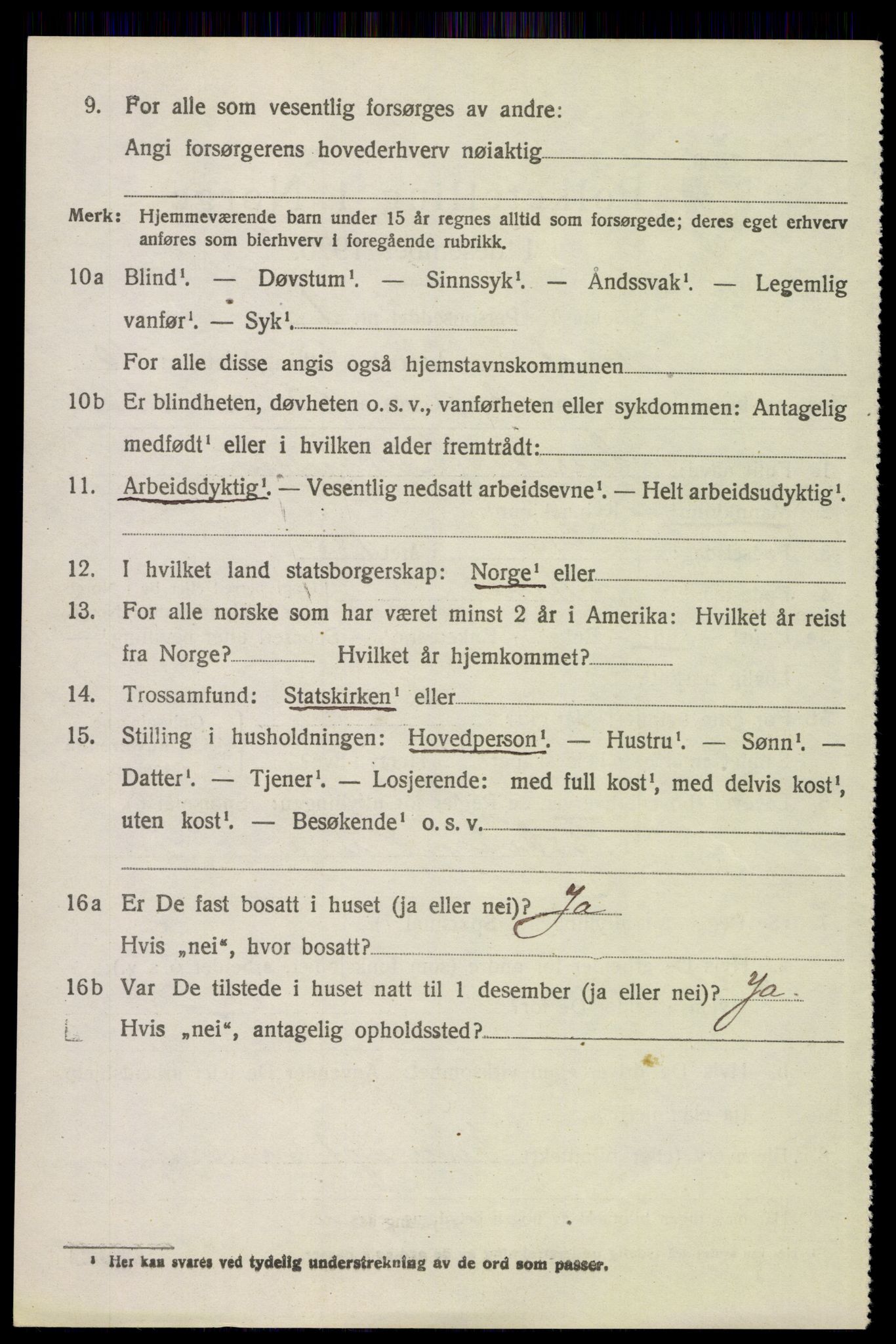 SAH, 1920 census for Åsnes, 1920, p. 10441