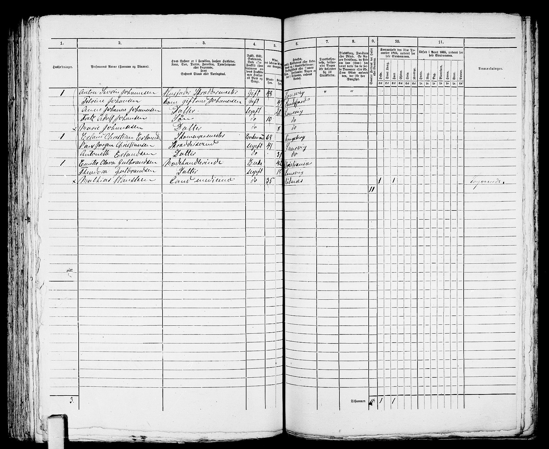 RA, 1865 census for Larvik, 1865, p. 464