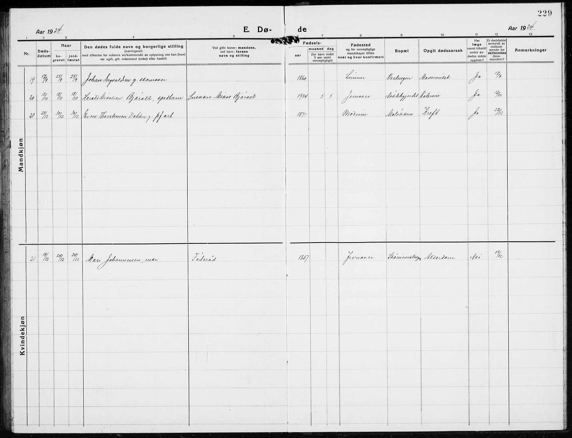 Jevnaker prestekontor, SAH/PREST-116/H/Ha/Hab/L0005: Parish register (copy) no. 5, 1919-1934, p. 229