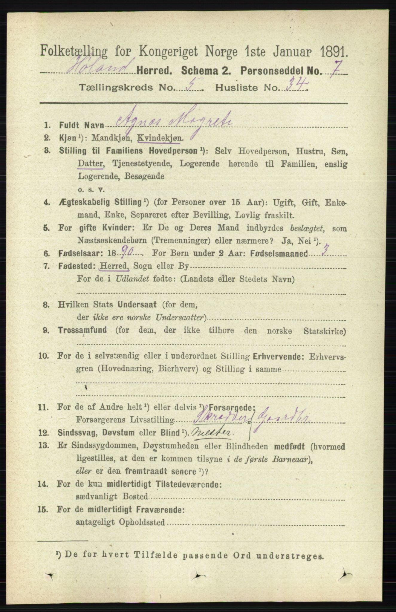 RA, 1891 census for 0221 Høland, 1891, p. 3696