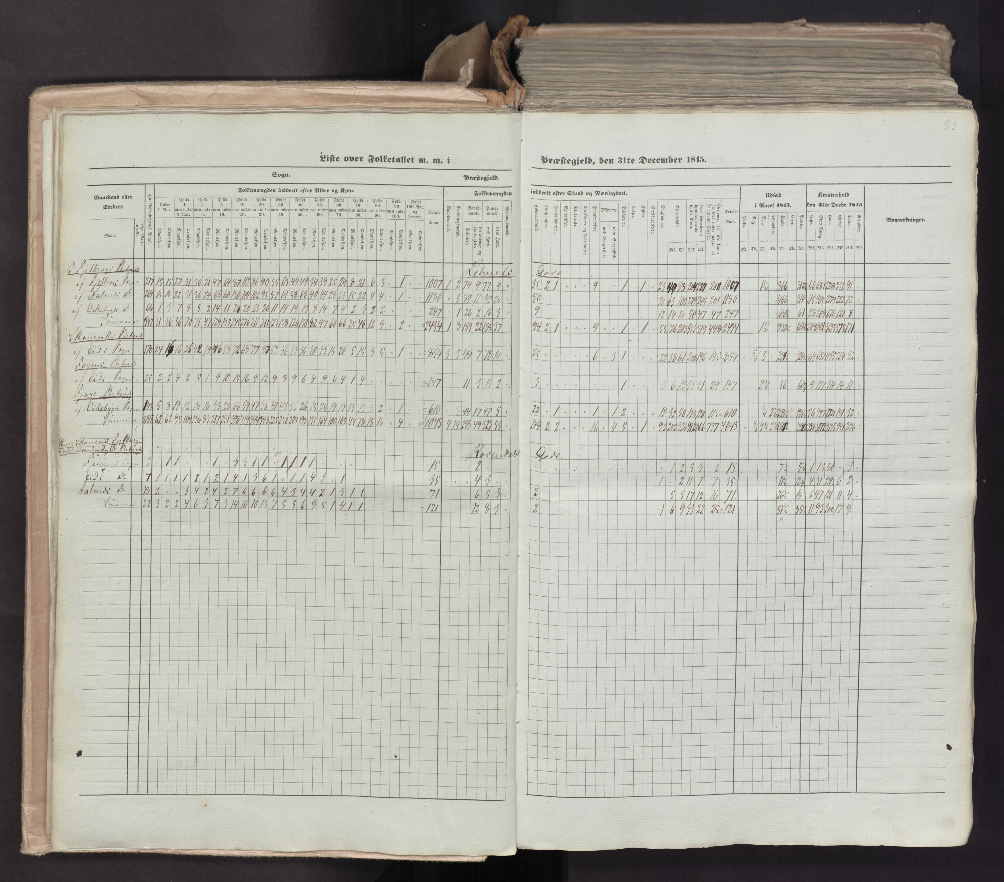 RA, Census 1845, vol. 7: Søndre Bergenhus amt og Nordre Bergenhus amt, 1845, p. 33