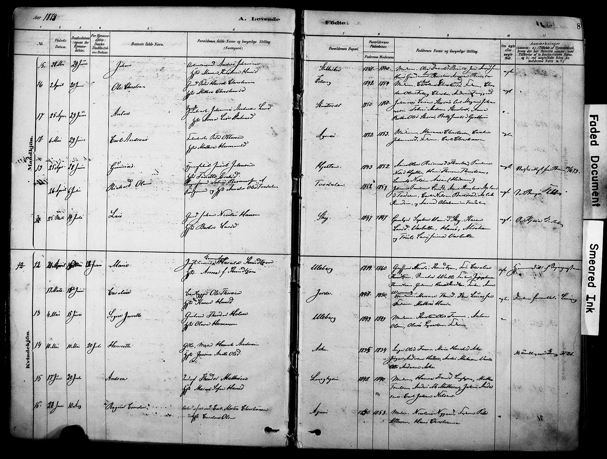 Brunlanes kirkebøker, AV/SAKO-A-342/F/Fc/L0001: Parish register (official) no. III 1, 1878-1899, p. 8