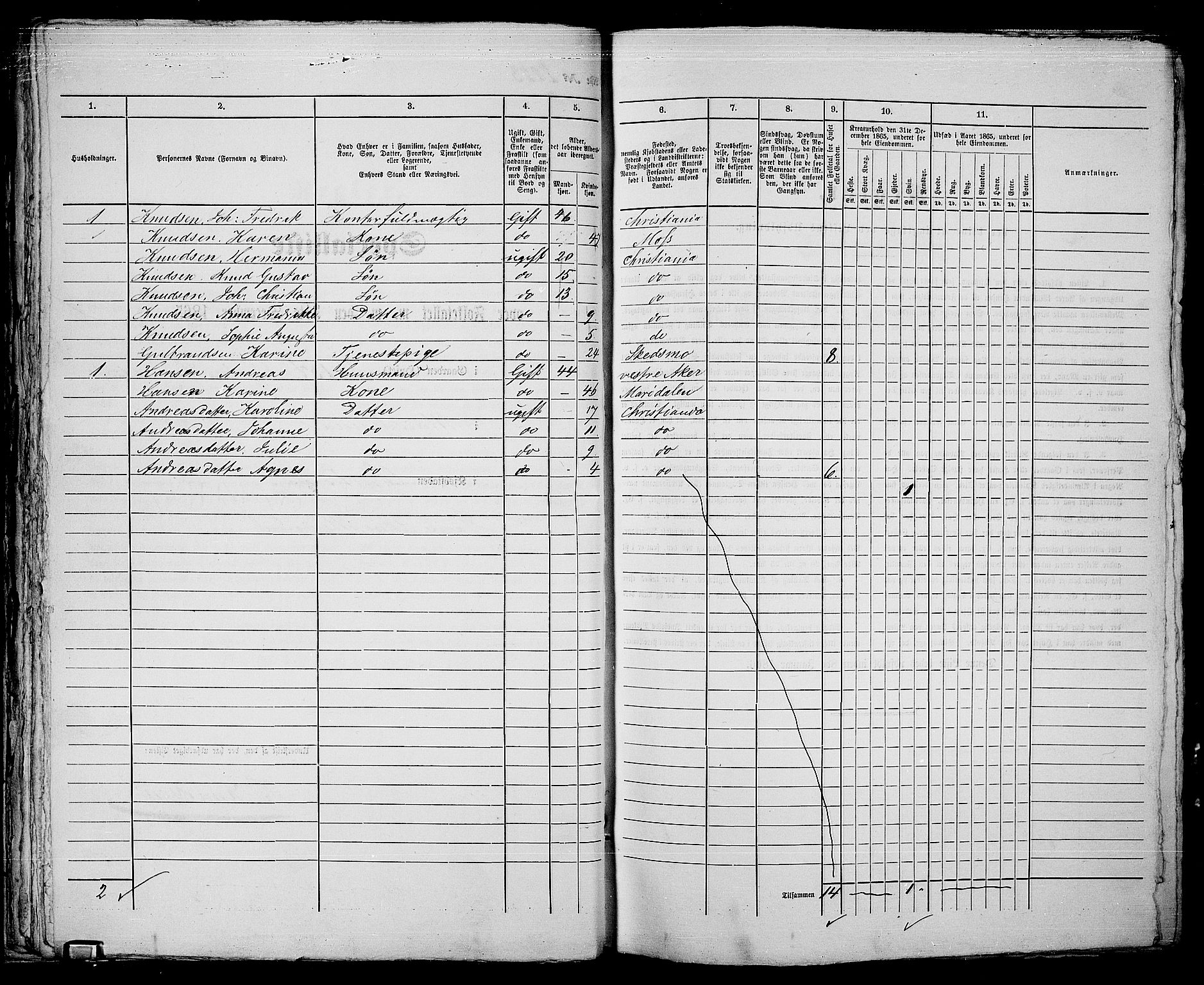 RA, 1865 census for Kristiania, 1865, p. 4957