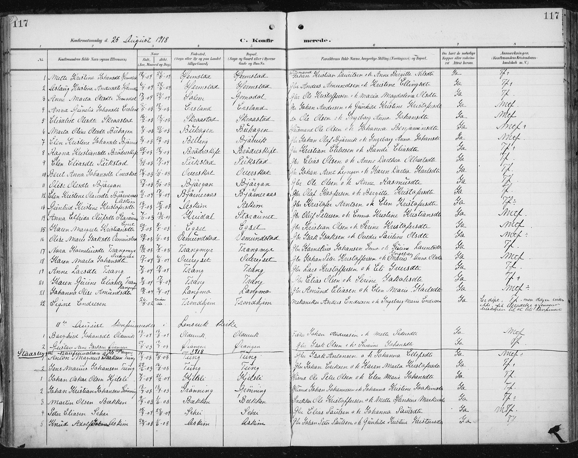 Ministerialprotokoller, klokkerbøker og fødselsregistre - Sør-Trøndelag, SAT/A-1456/646/L0616: Parish register (official) no. 646A14, 1900-1918, p. 117