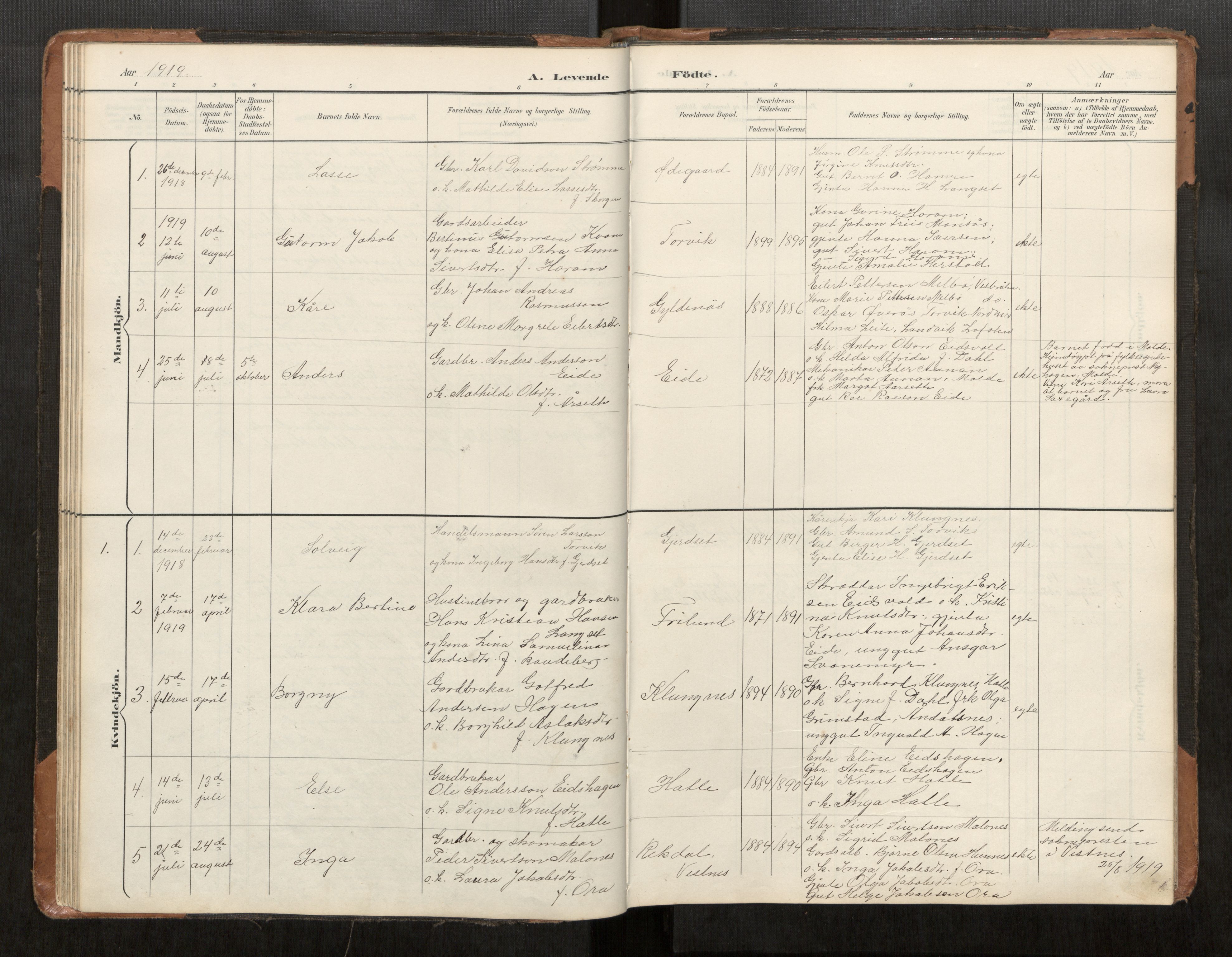 Ministerialprotokoller, klokkerbøker og fødselsregistre - Møre og Romsdal, AV/SAT-A-1454/542/L0561: Parish register (copy) no. 542C03, 1893-1931