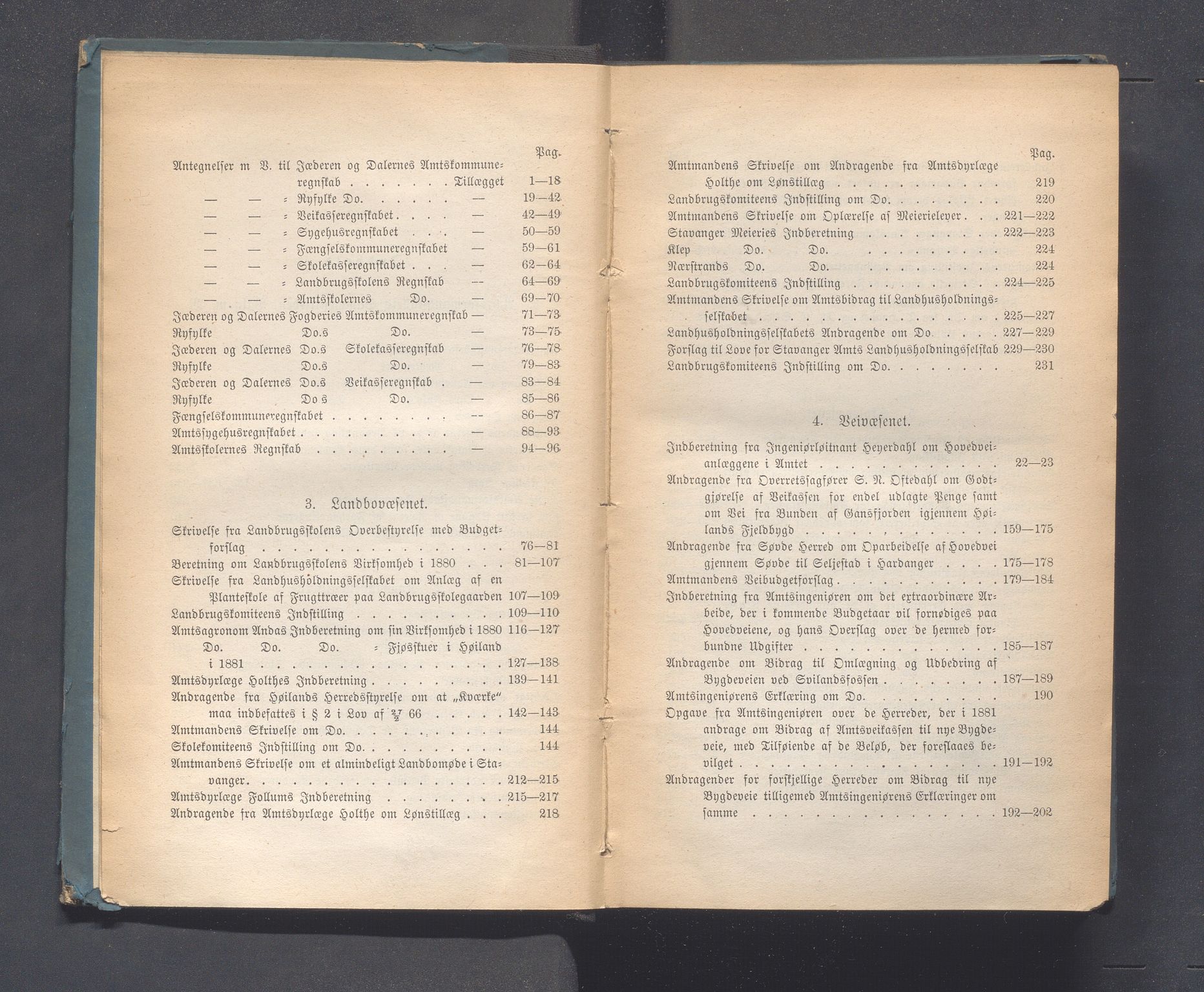 Rogaland fylkeskommune - Fylkesrådmannen , IKAR/A-900/A, 1881, p. 4