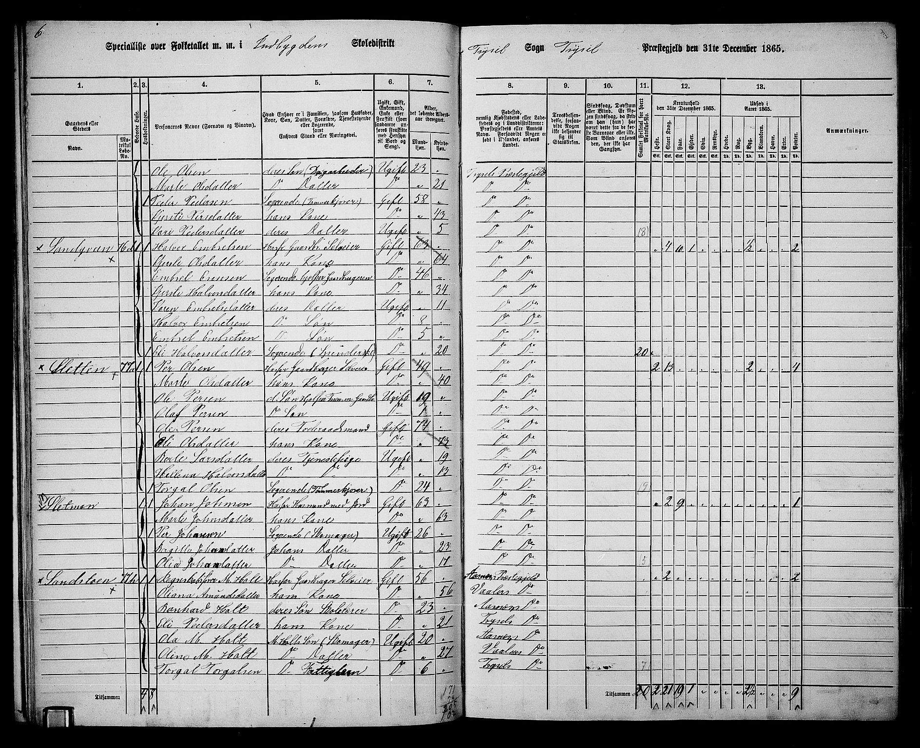 RA, 1865 census for Trysil, 1865, p. 23