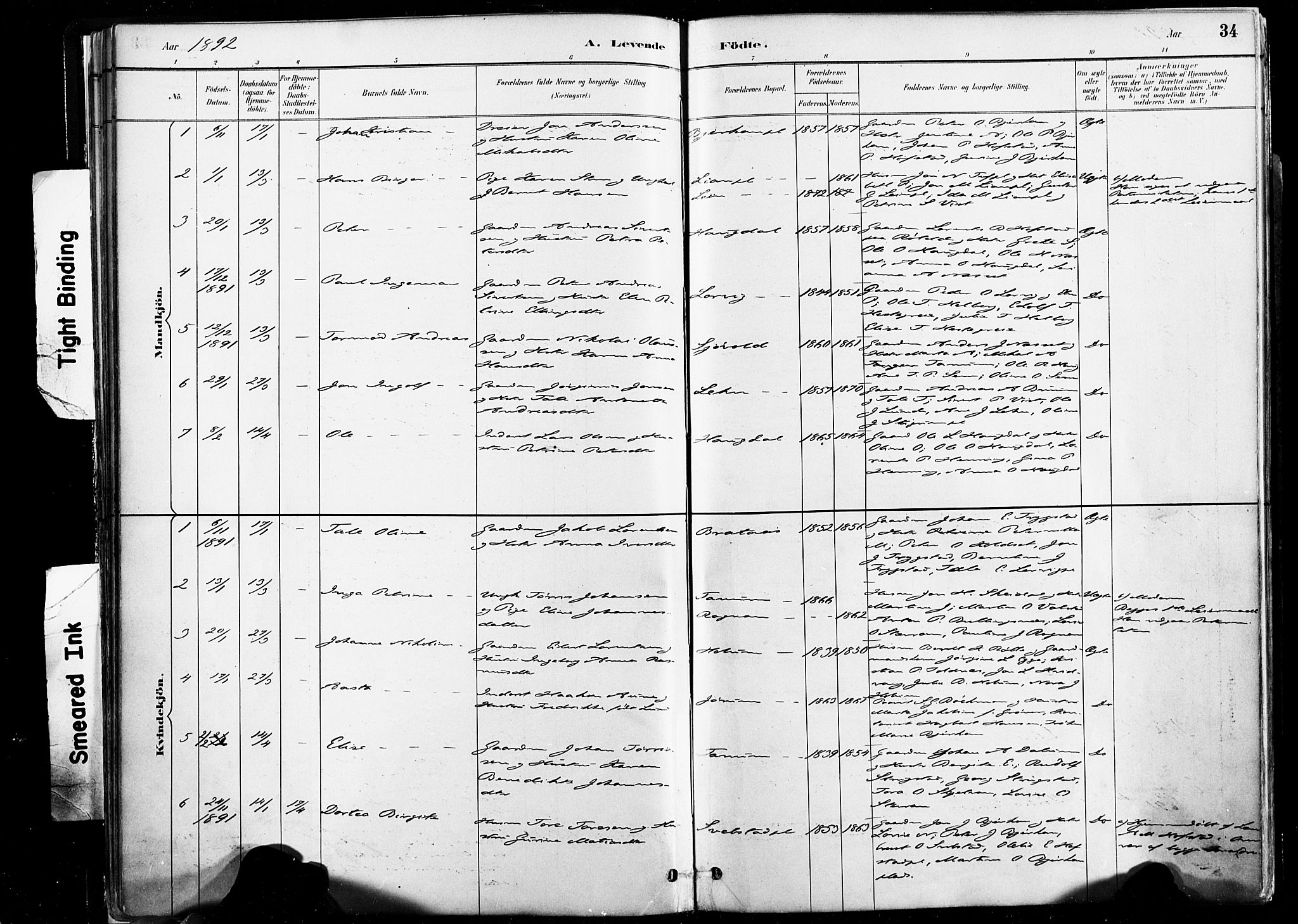 Ministerialprotokoller, klokkerbøker og fødselsregistre - Nord-Trøndelag, SAT/A-1458/735/L0351: Parish register (official) no. 735A10, 1884-1908, p. 34