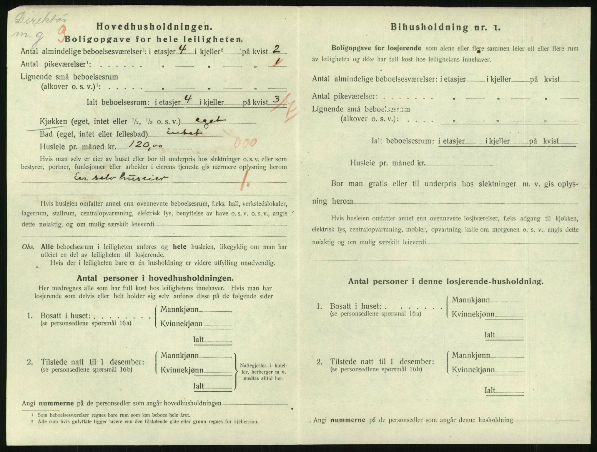 SAKO, 1920 census for Horten, 1920, p. 4306