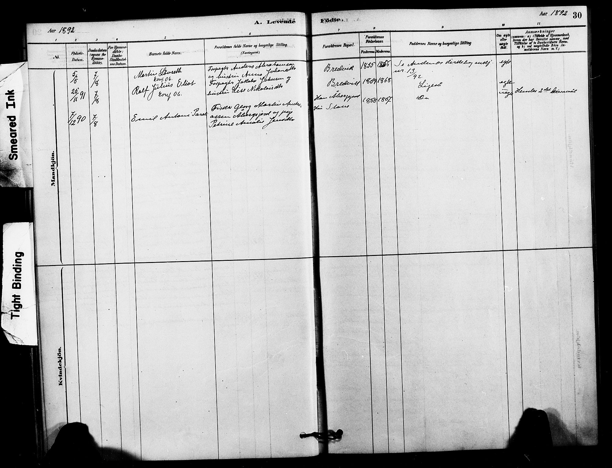 Ministerialprotokoller, klokkerbøker og fødselsregistre - Nordland, AV/SAT-A-1459/897/L1399: Parish register (official) no. 897C06, 1881-1896, p. 30
