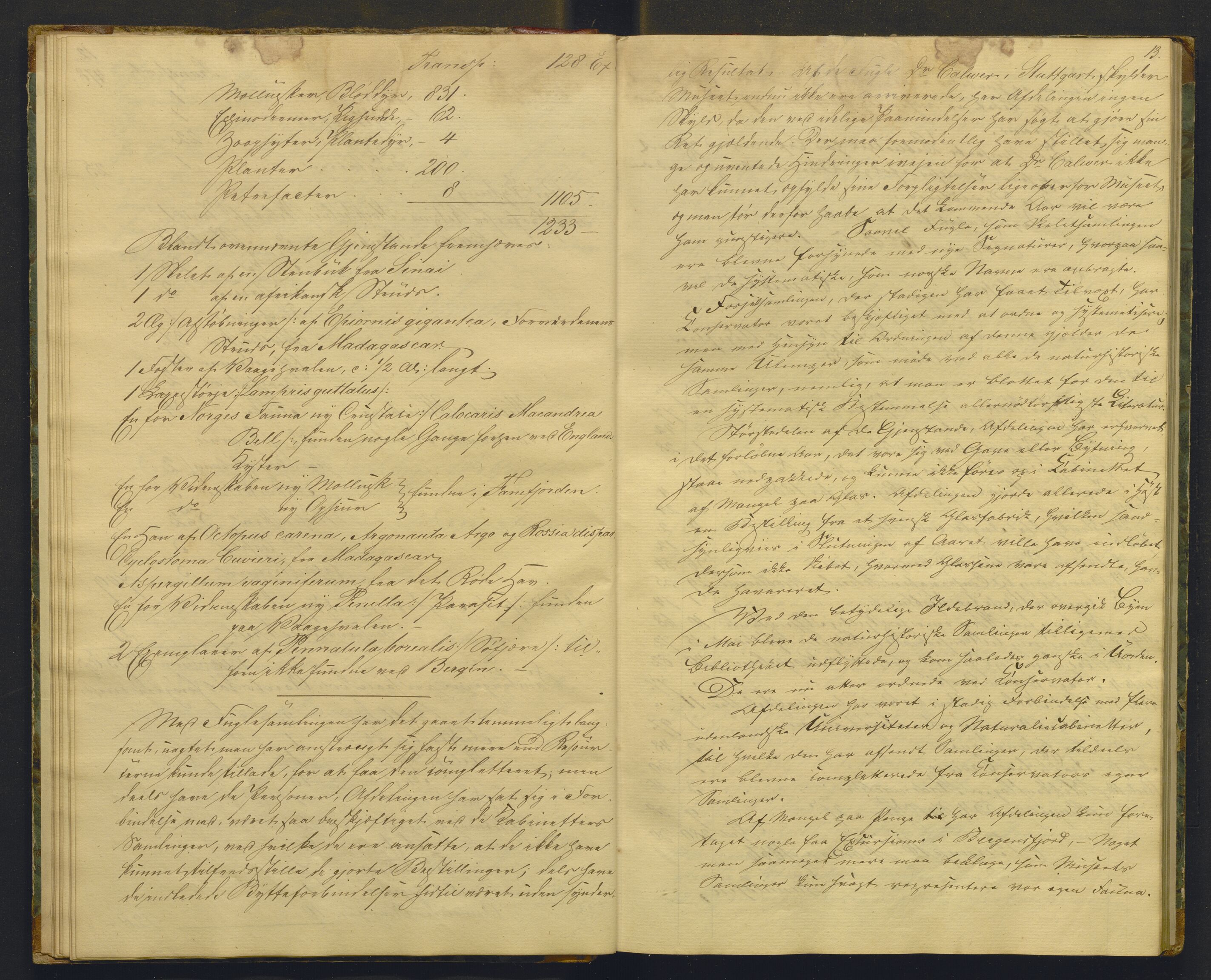 Bergens Museum, AV/SAB-A-17301/08/A/L0001: Forhandlingsprotokoll , 1852-1900, p. 12b-13a