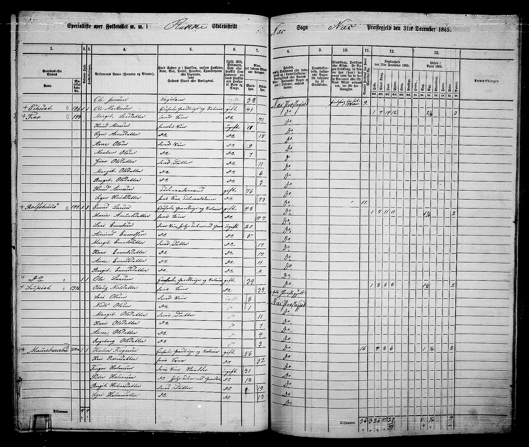 RA, 1865 census for Nes, 1865, p. 177