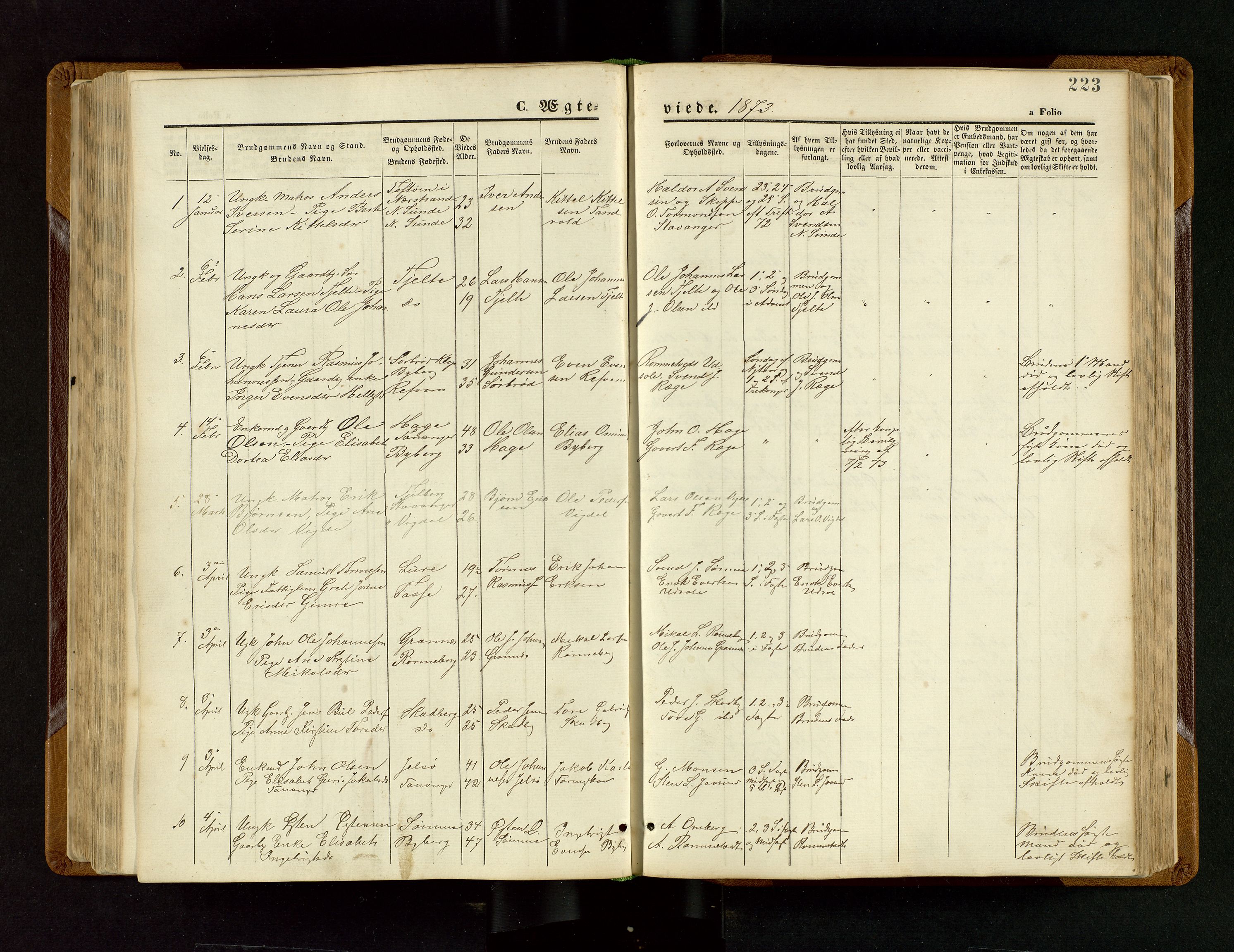 Håland sokneprestkontor, AV/SAST-A-101802/001/30BB/L0003: Parish register (copy) no. B 3, 1873-1893, p. 223