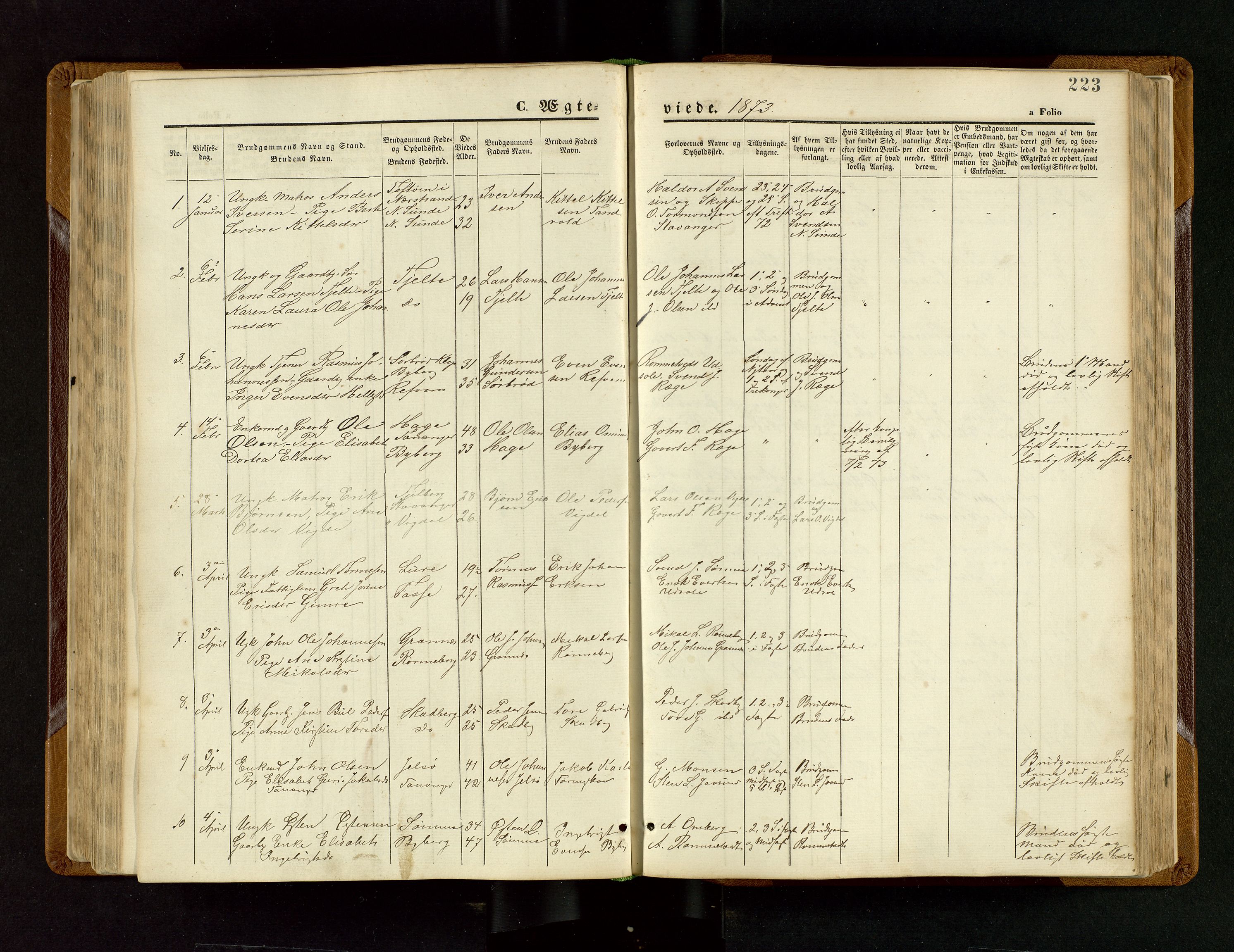 Håland sokneprestkontor, SAST/A-101802/001/30BB/L0003: Parish register (copy) no. B 3, 1873-1893, p. 223