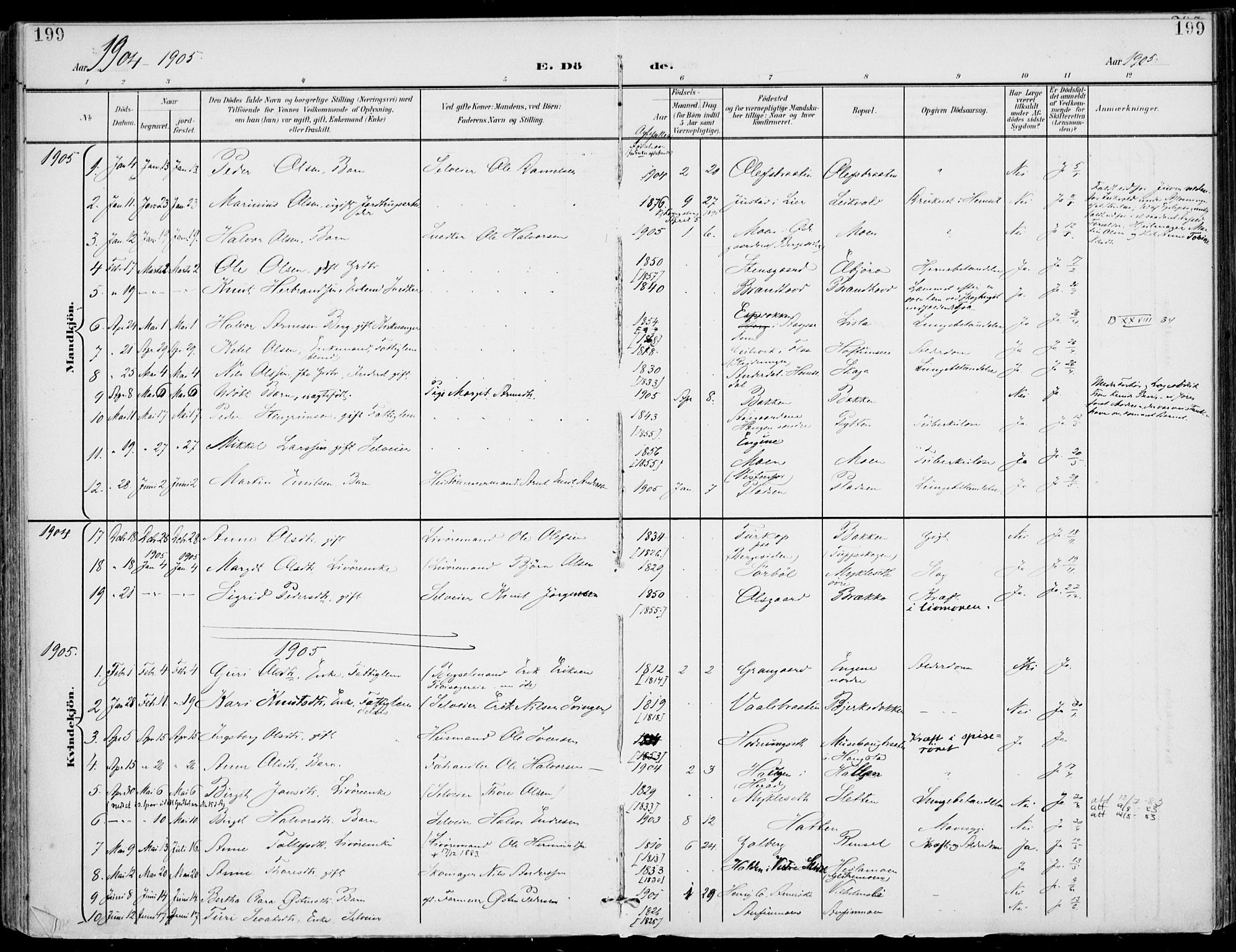 Gol kirkebøker, SAKO/A-226/F/Fa/L0006: Parish register (official) no. I 6, 1901-1918, p. 199