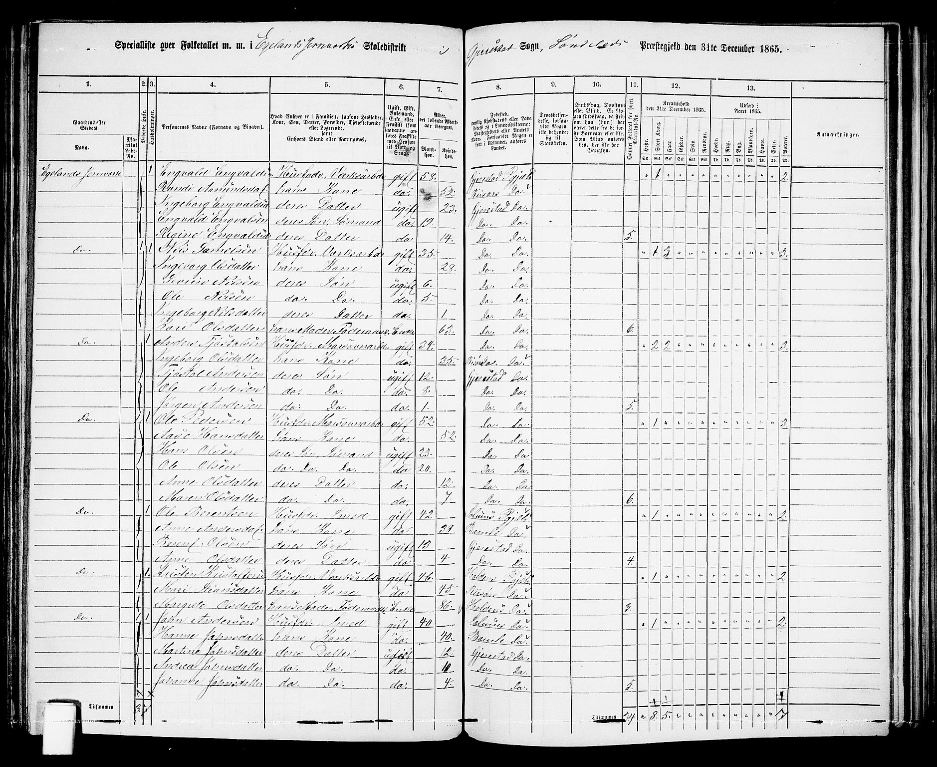 RA, 1865 census for Gjerstad, 1865, p. 124