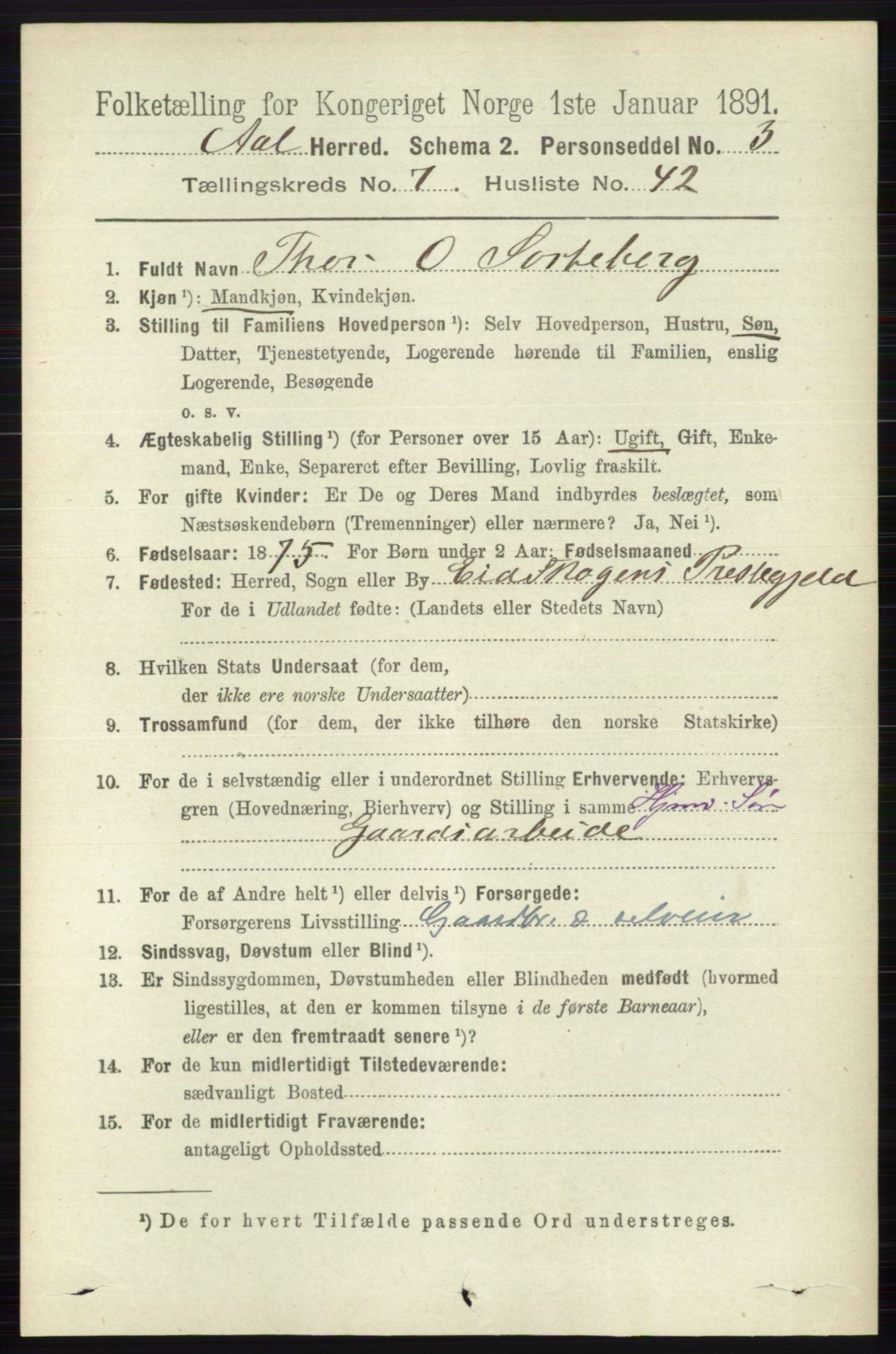 RA, 1891 census for 0619 Ål, 1891, p. 2018