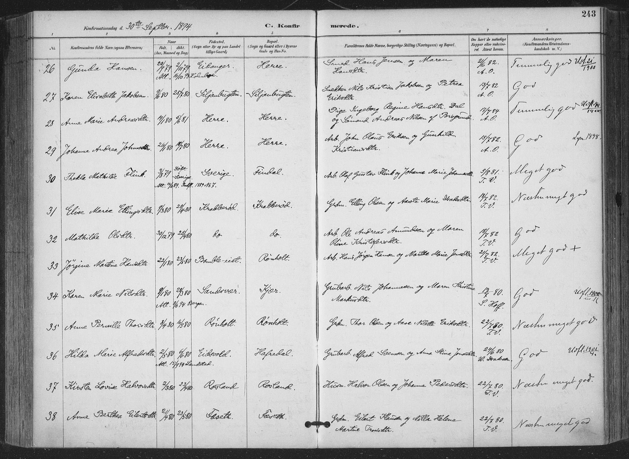 Bamble kirkebøker, AV/SAKO-A-253/F/Fa/L0008: Parish register (official) no. I 8, 1888-1900, p. 243