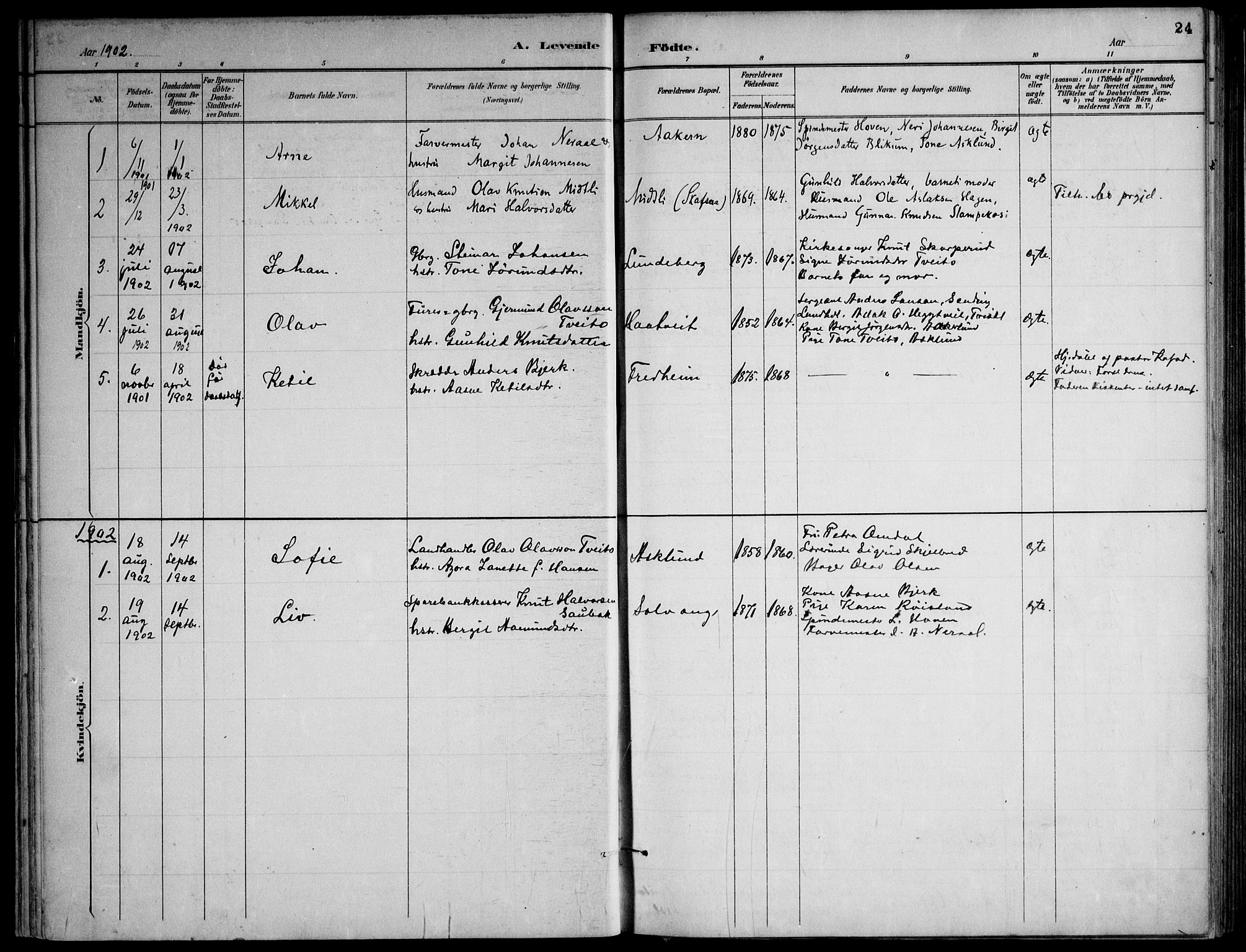 Lårdal kirkebøker, SAKO/A-284/F/Fa/L0007: Parish register (official) no. I 7, 1887-1906, p. 24
