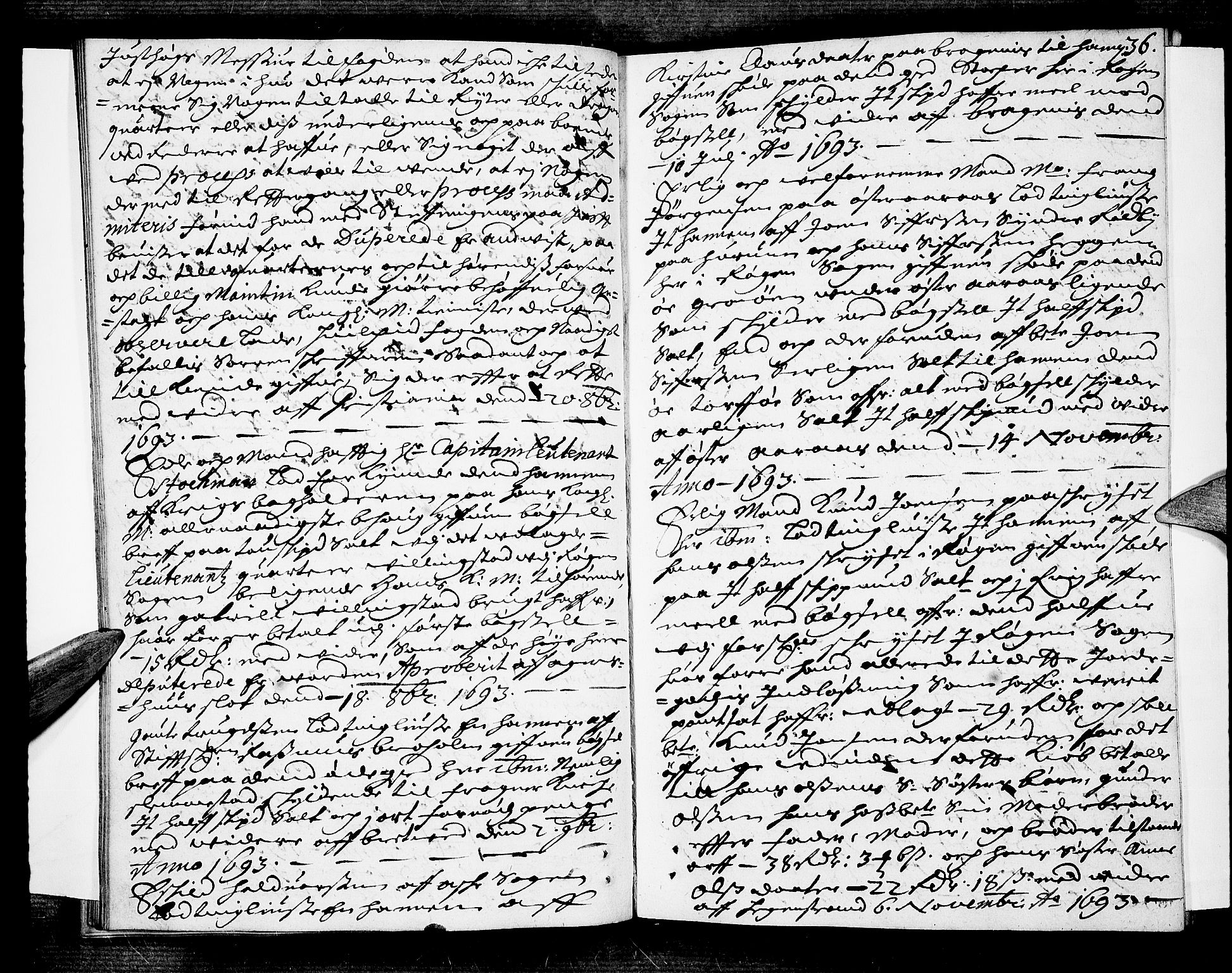 Lier, Røyken og Hurum sorenskriveri, AV/SAKO-A-89/F/Fa/L0034: Tingbok, 1693, p. 36
