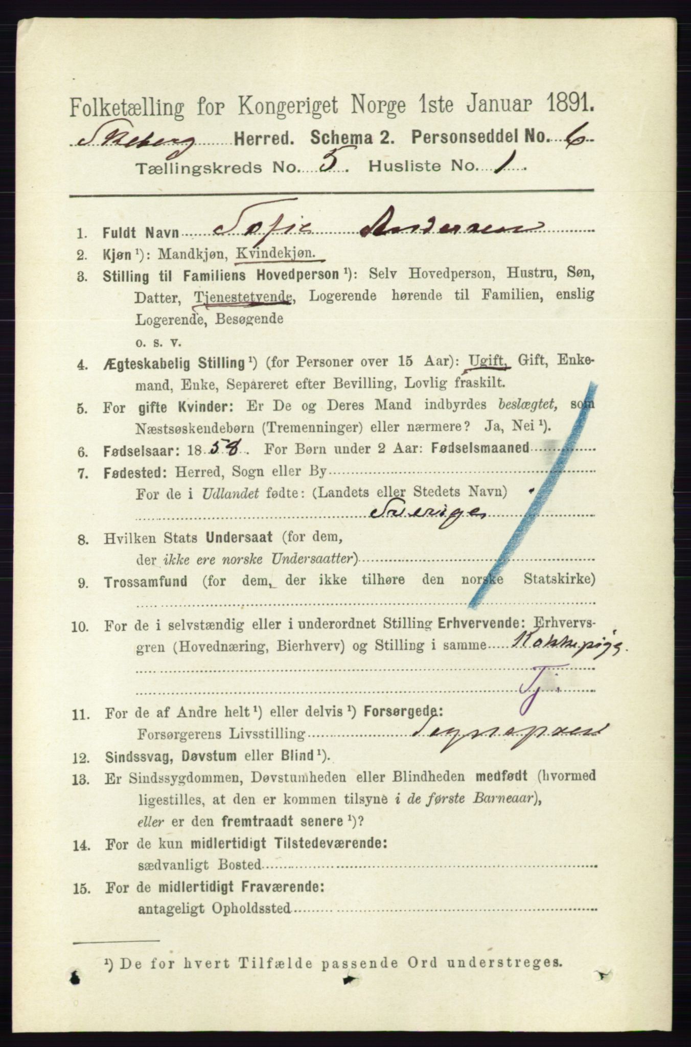 RA, 1891 census for 0115 Skjeberg, 1891, p. 2281