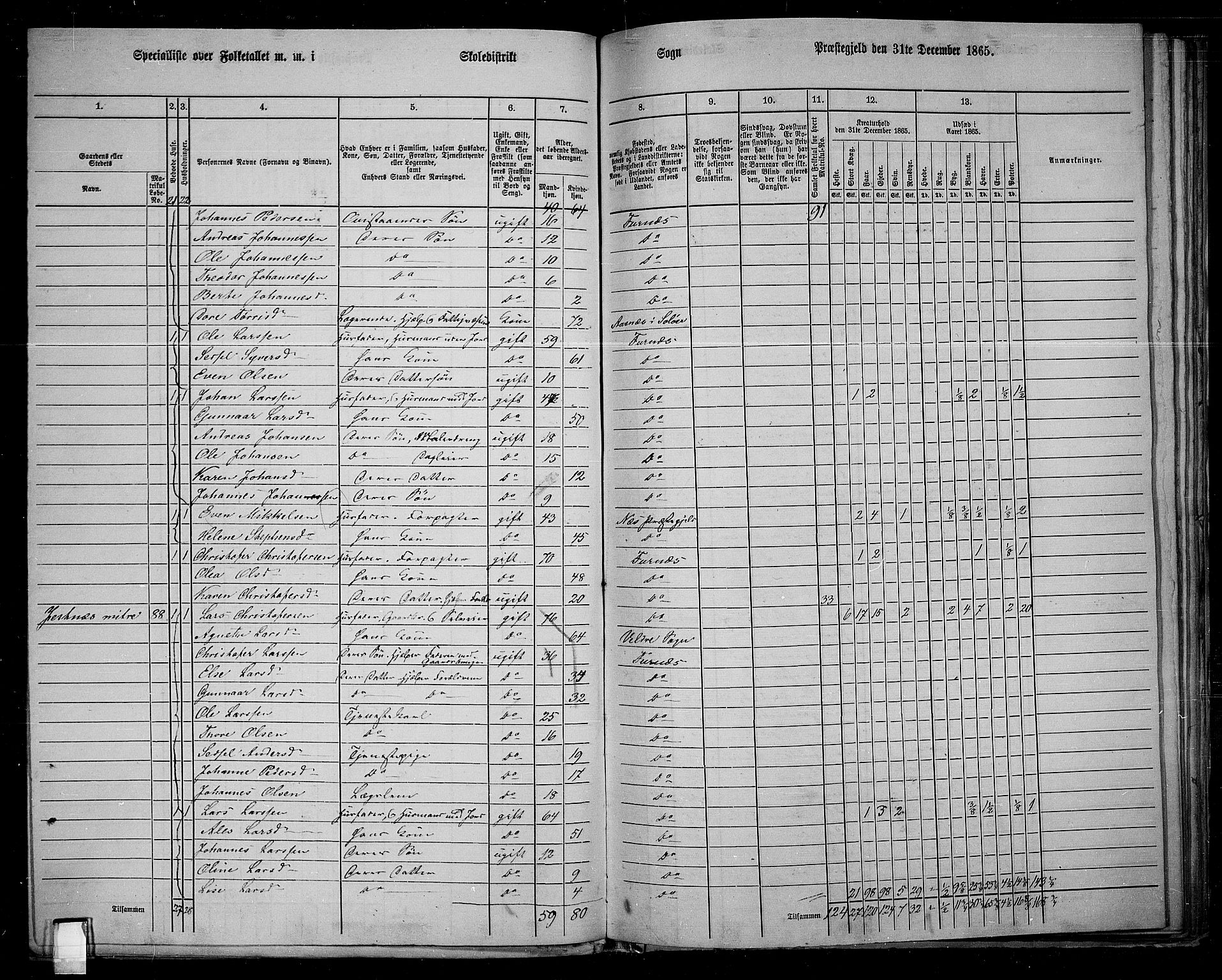 RA, 1865 census for Vang/Vang og Furnes, 1865, p. 93